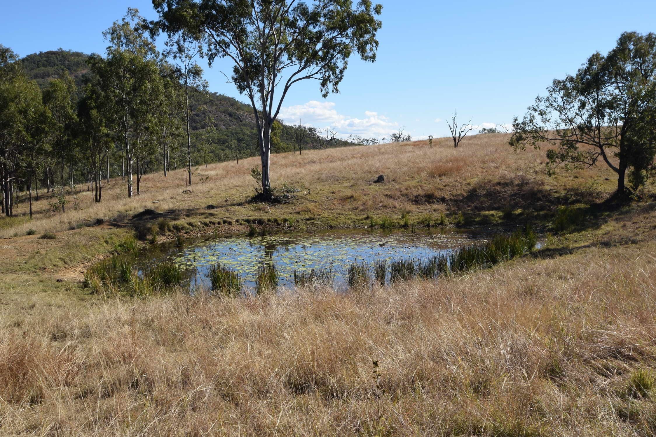 Lot 131 Falls Road, Glen Esk QLD 4312, Glen Esk - Thumbnail 3