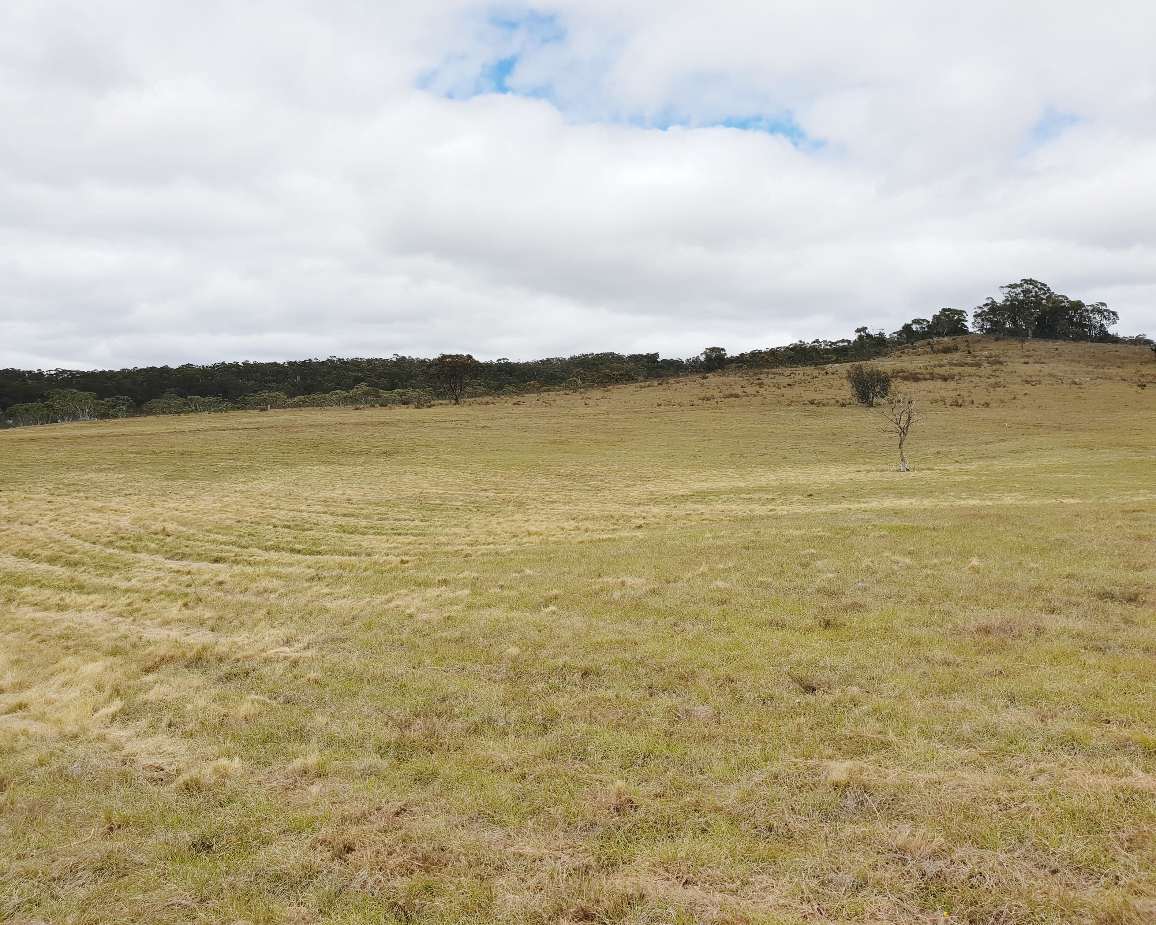 3364 Cooma Road, Braidwood NSW 2622, Braidwood - Thumbnail 7