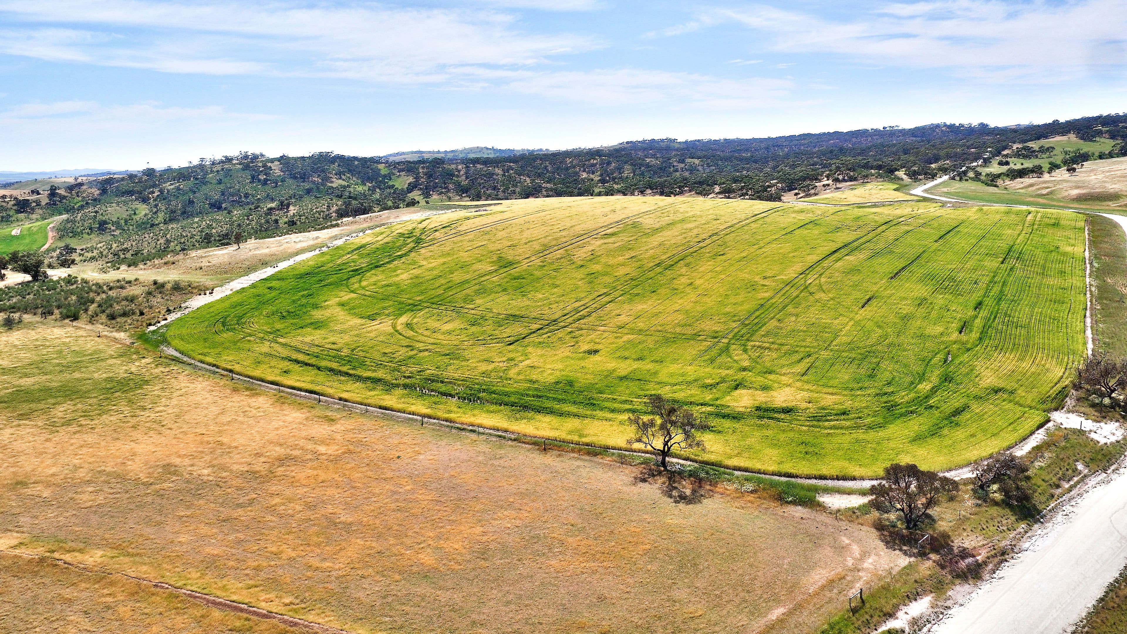 "Twin Valleys" Yacka - Andrews Road, YACKA SA 5470, Yacka - Thumbnail 7