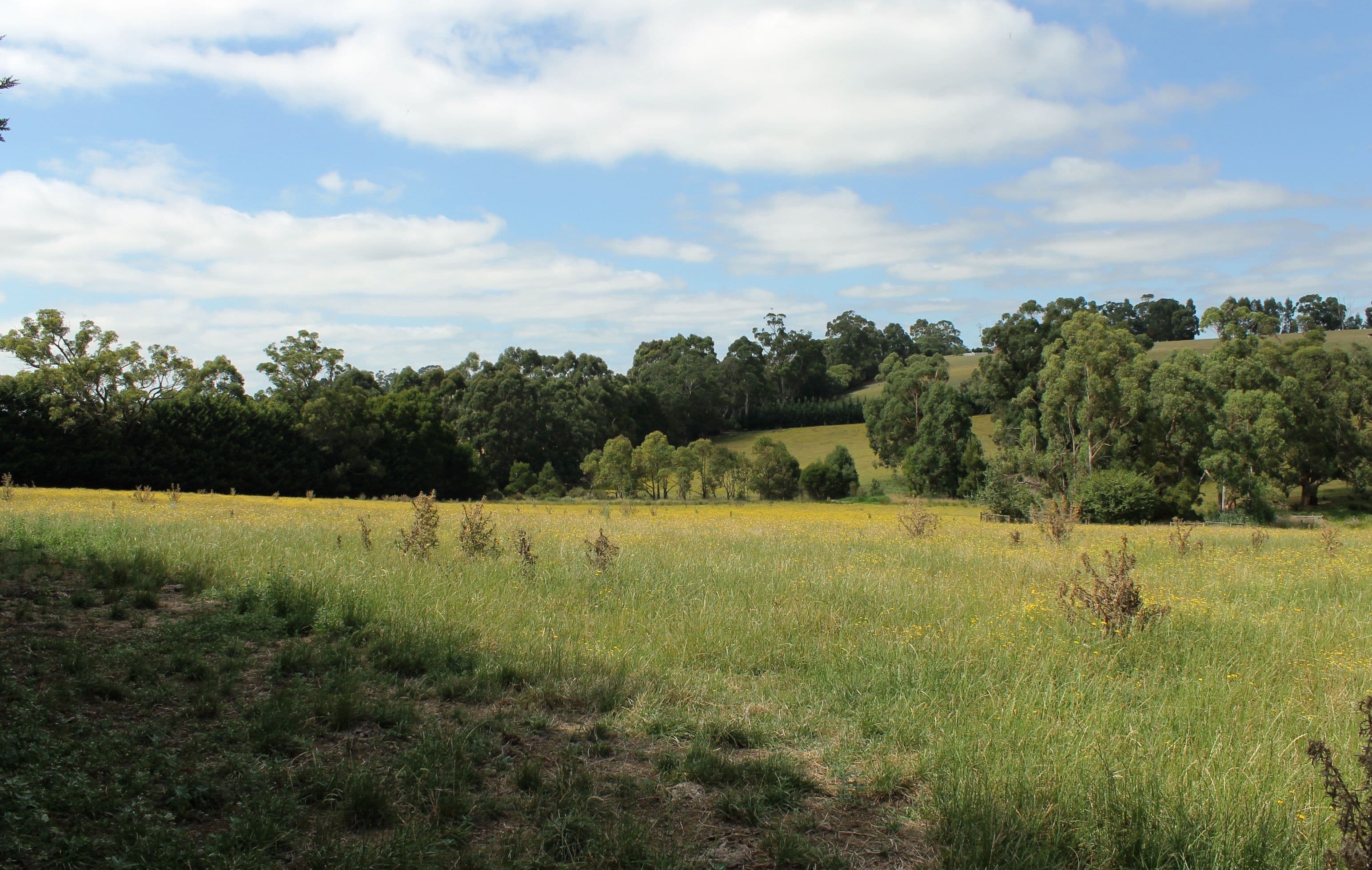 Drouin VIC 3818, Drouin - Thumbnail 5