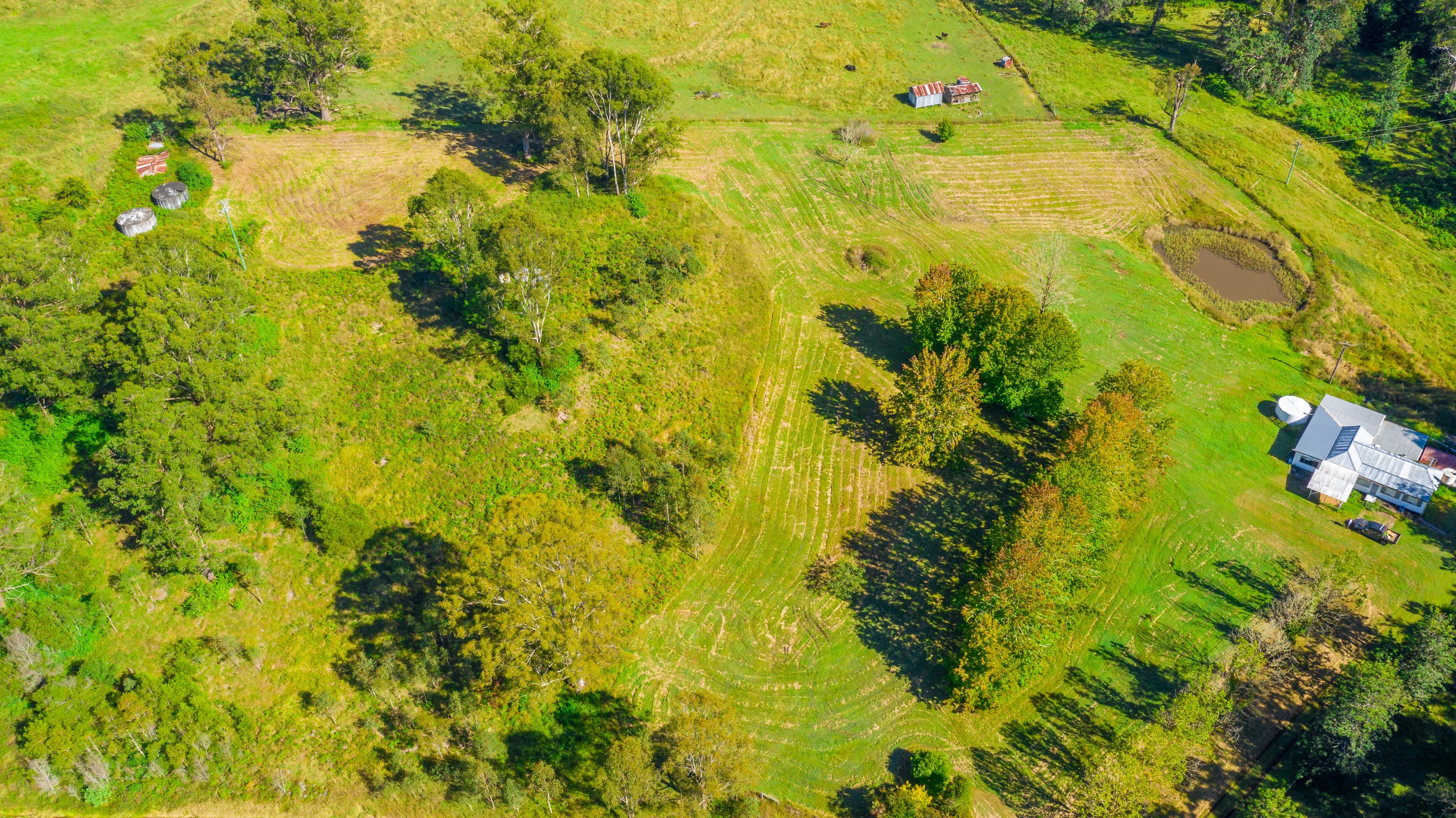 937 Duck Creek Road, Old Bonalbo NSW 2469, Old Bonalbo - Thumbnail 4