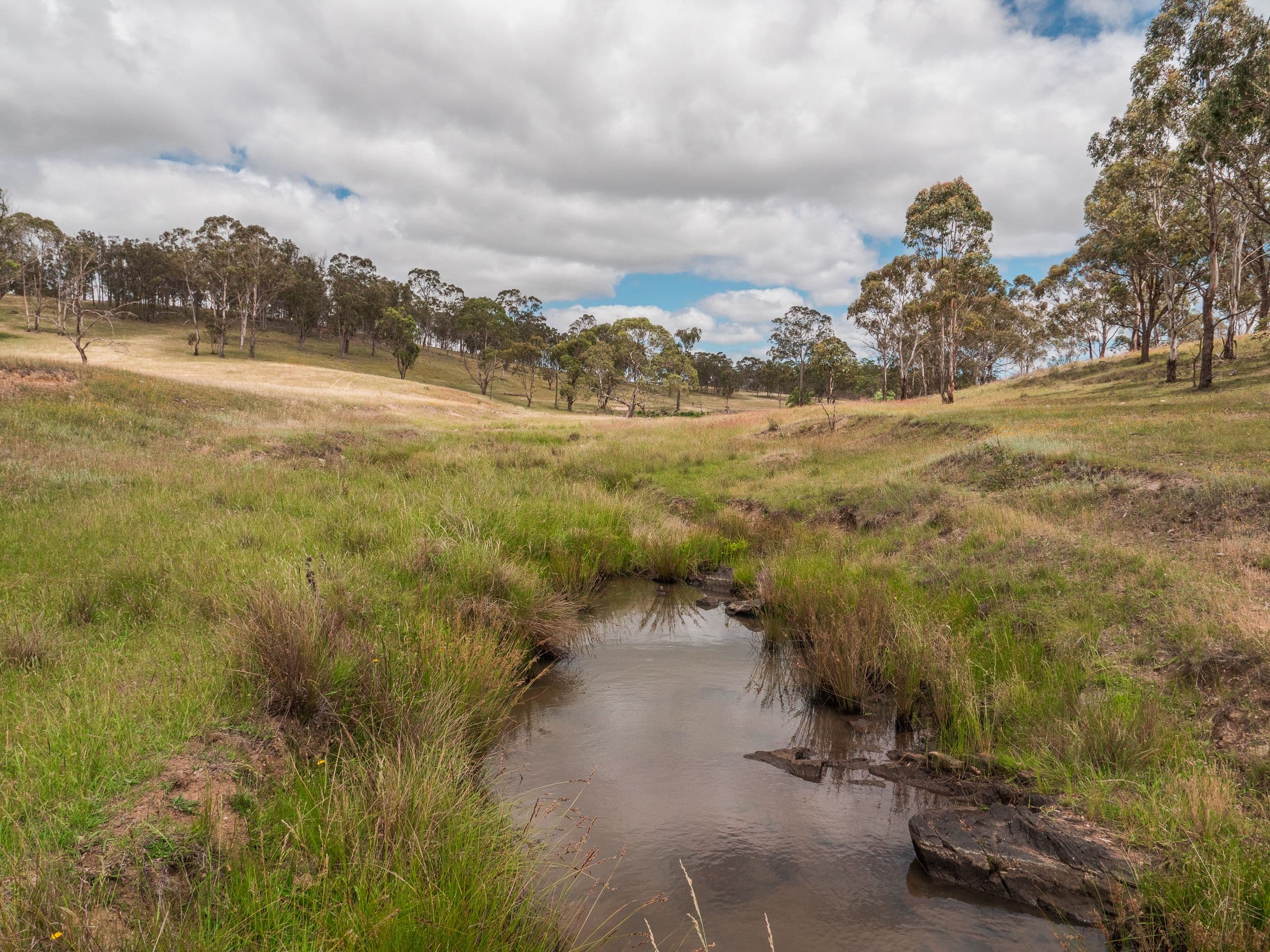 511 Long Swamp Road, Armidale NSW 2350, Armidale - Thumbnail 4