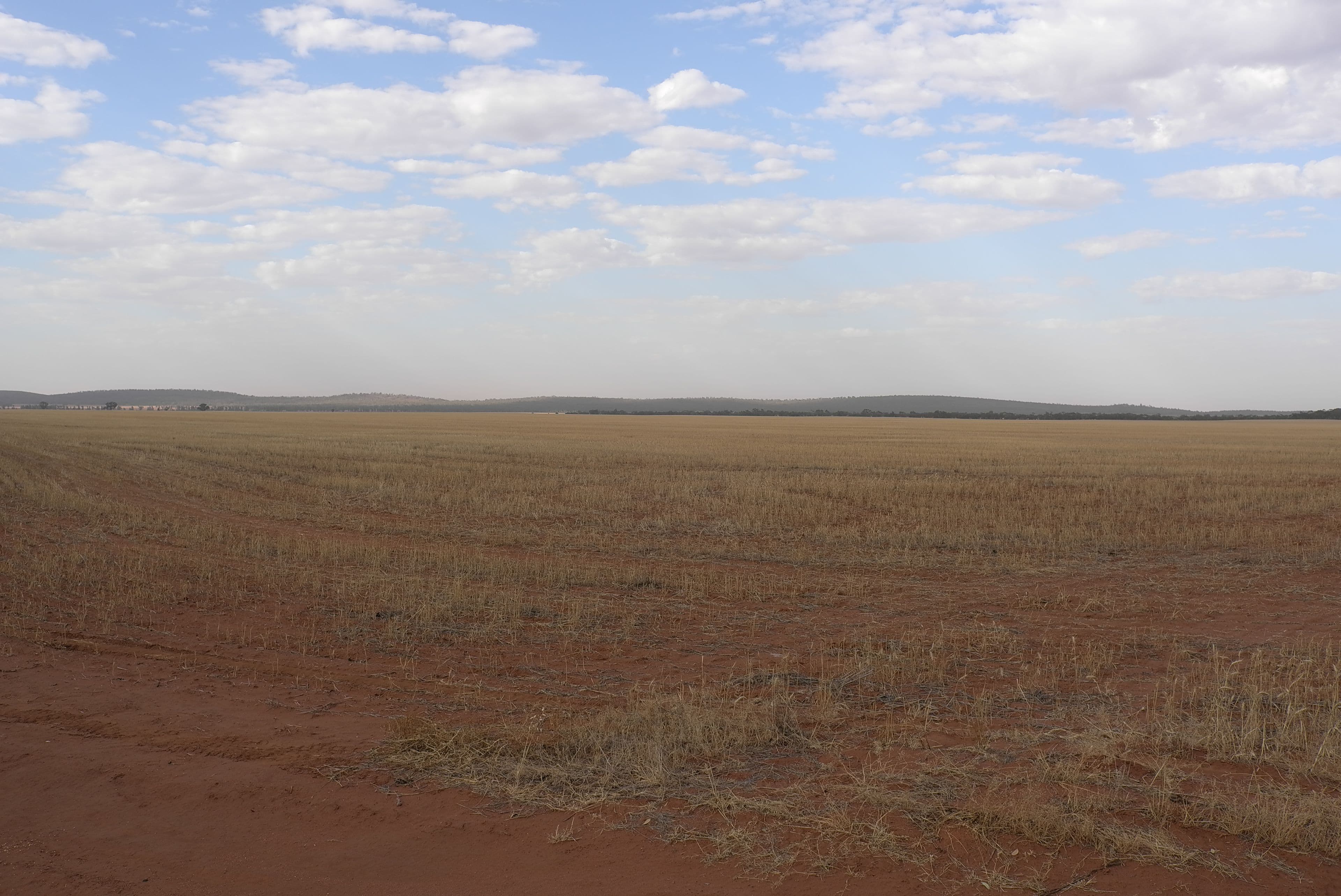 Heaths Road, Boorga NSW 2652, Boorga - Thumbnail 6