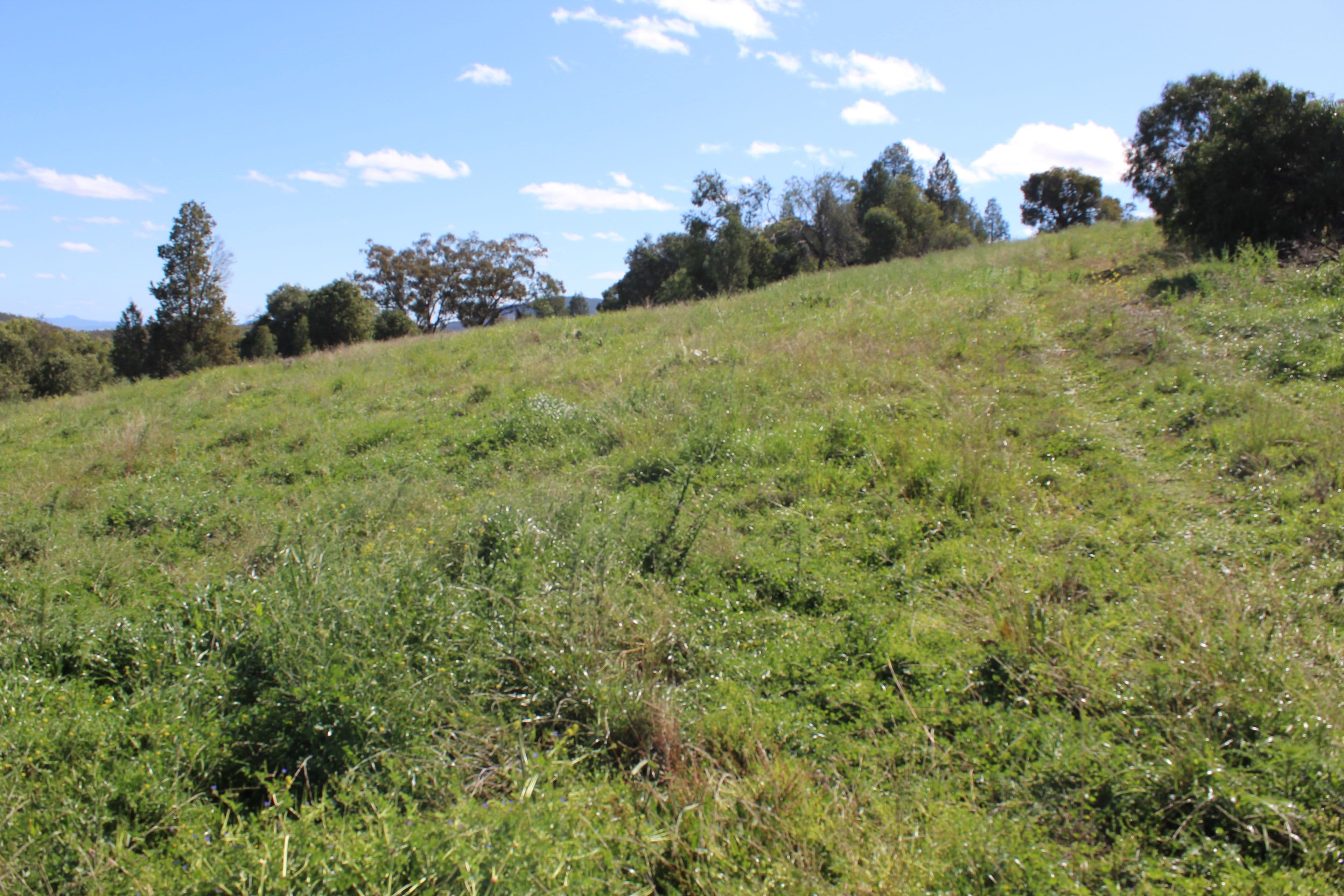 1633 Wandobah Road, Gunnedah NSW 2380, Gunnedah - Thumbnail 7