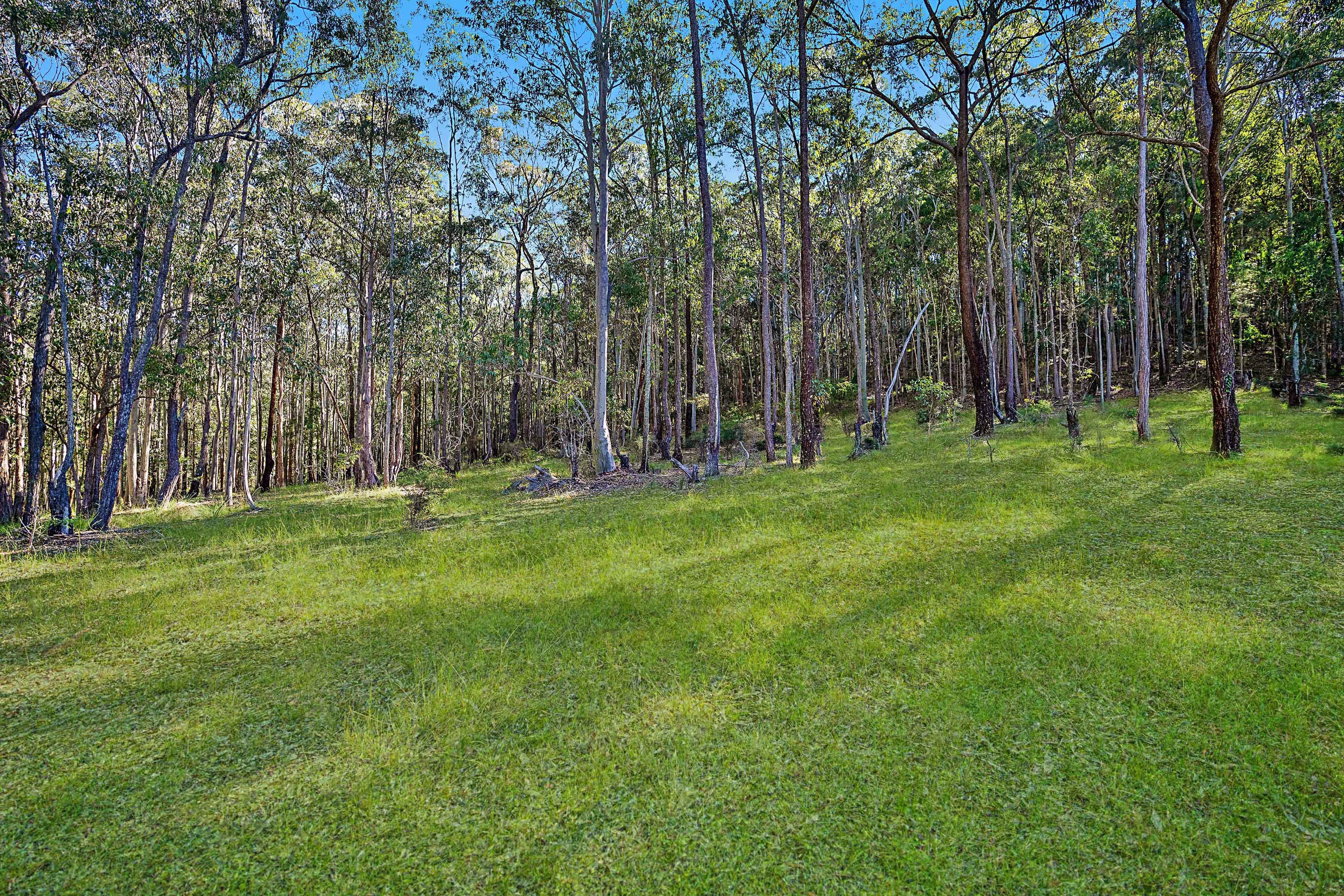 658 Mandalong Road, Mandalong NSW 2264, Mandalong - Thumbnail 7