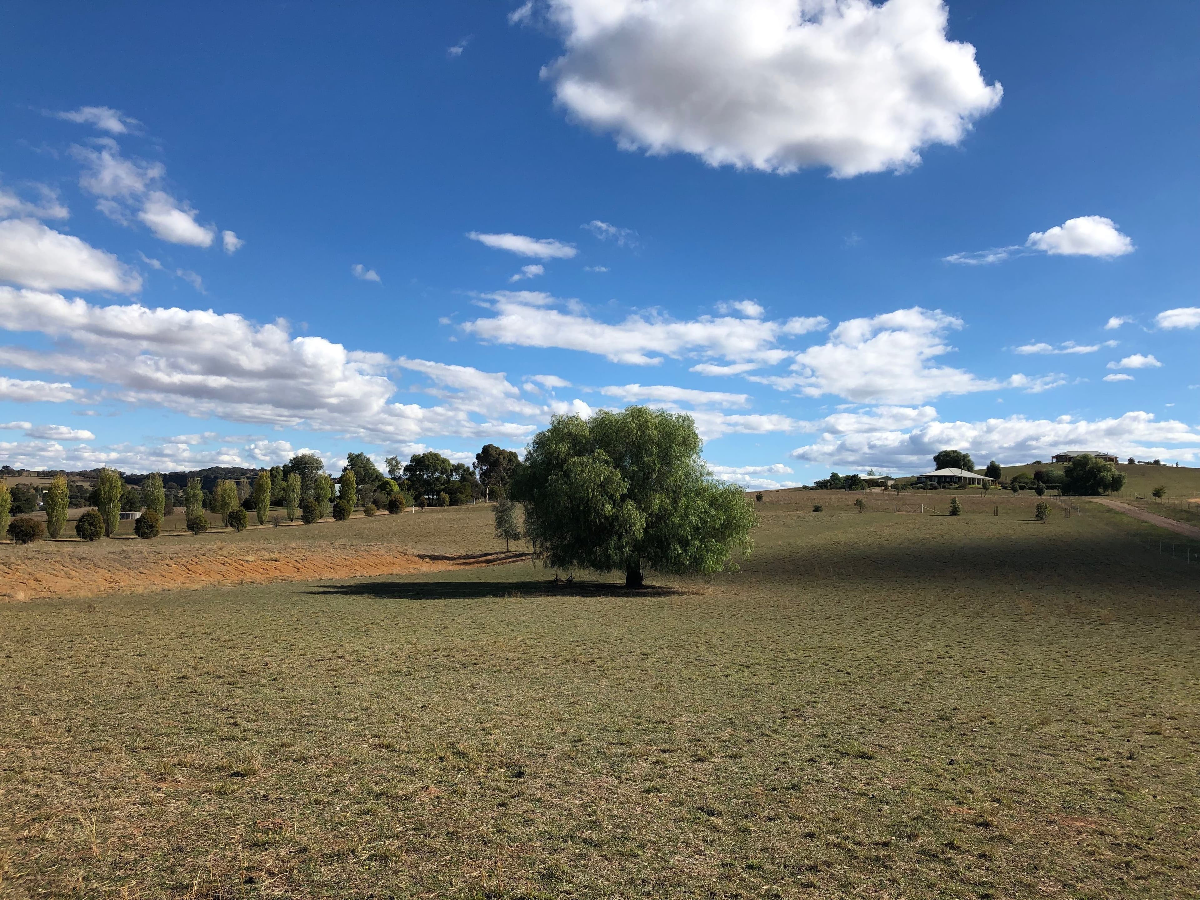 313 Elouera Road, Cowra NSW 2794, Cowra - Thumbnail 4