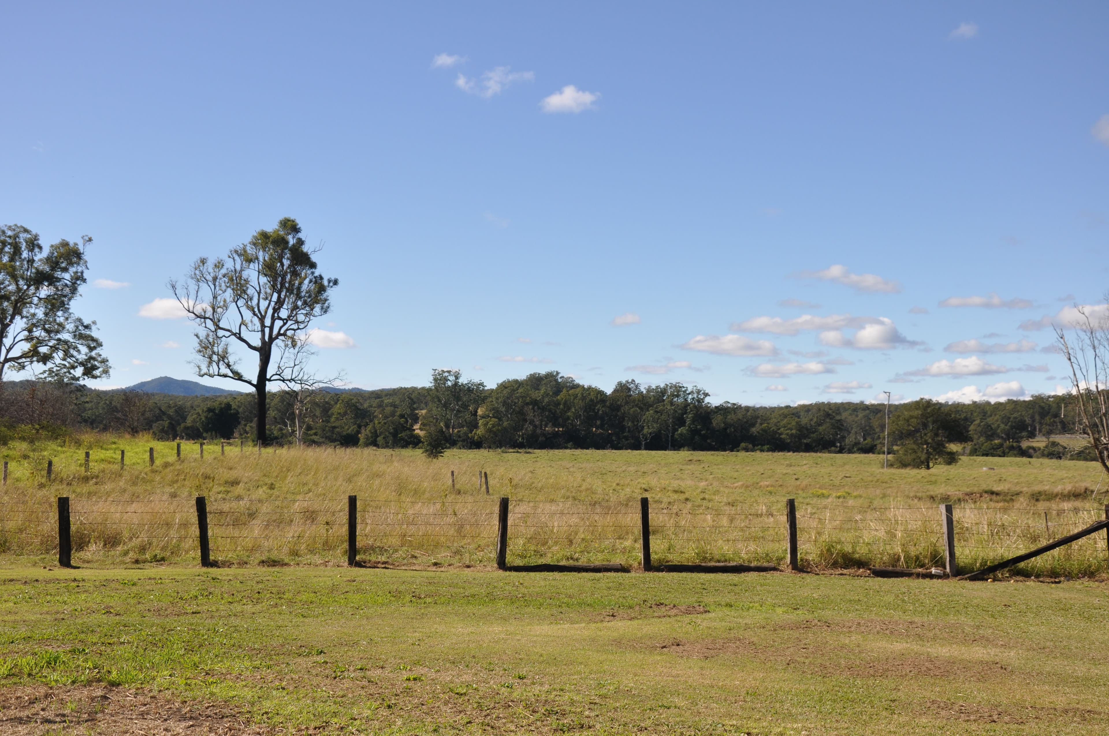 45 Armidale Road, Willawarrin NSW 2440, Willawarrin - Thumbnail 3