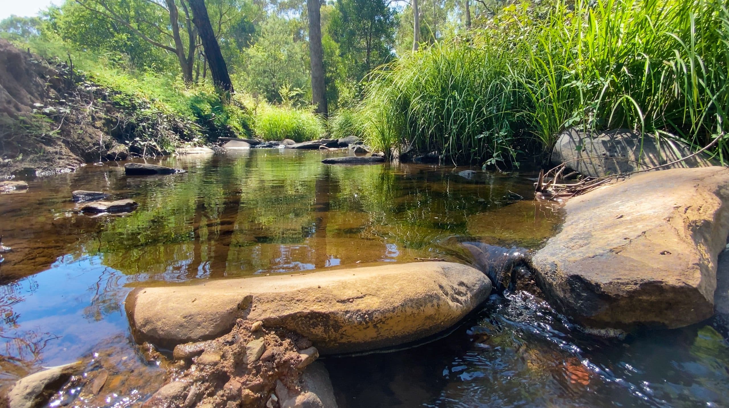920 Buttercup Road, Merrijig VIC 3723, Merrijig - Thumbnail 5