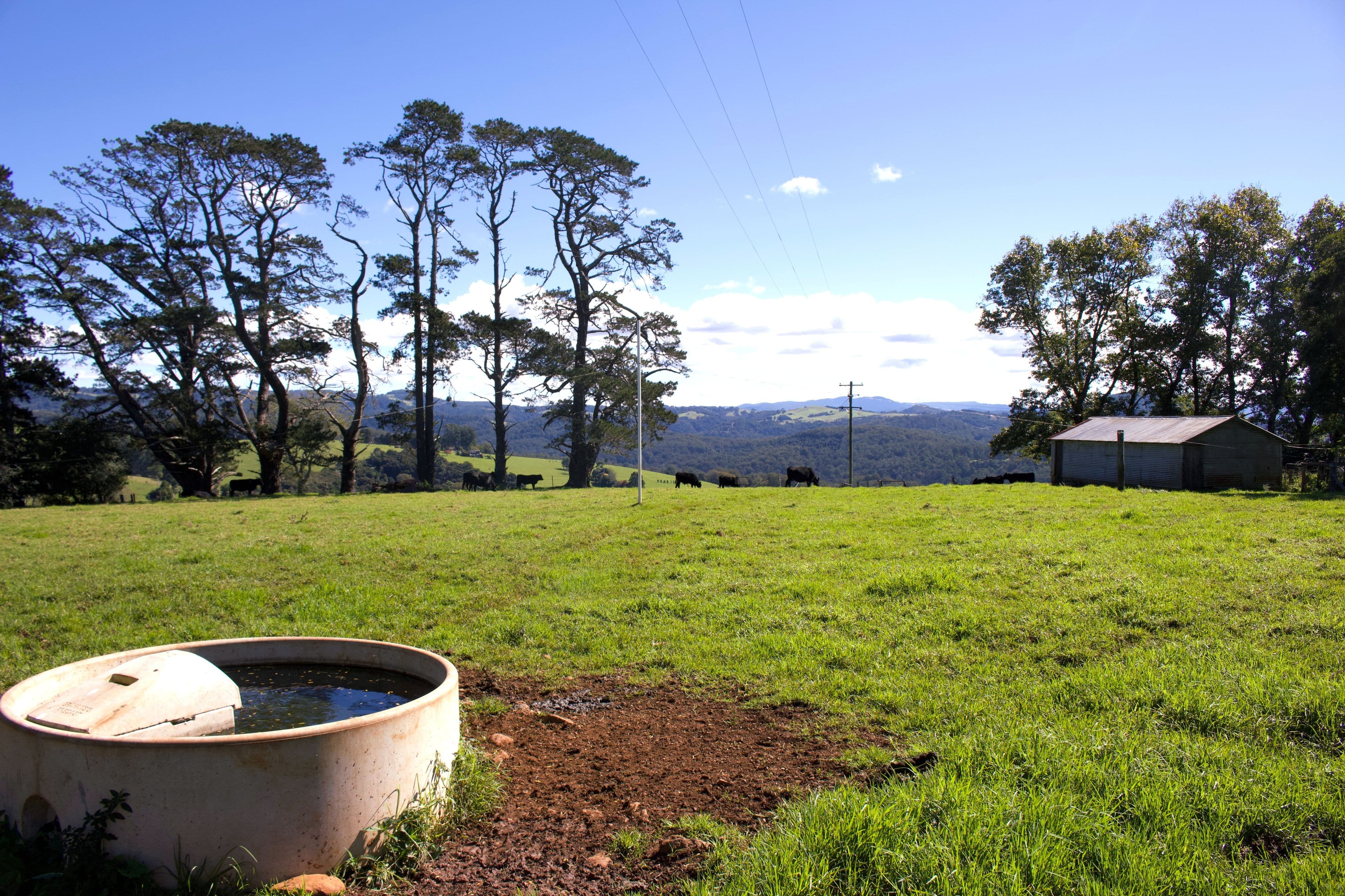 Dorrigo NSW 2453, Dorrigo - Thumbnail 7