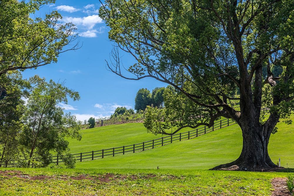 Lot 4 150 Whian Road, Eureka NSW 2480, Eureka - Image 1