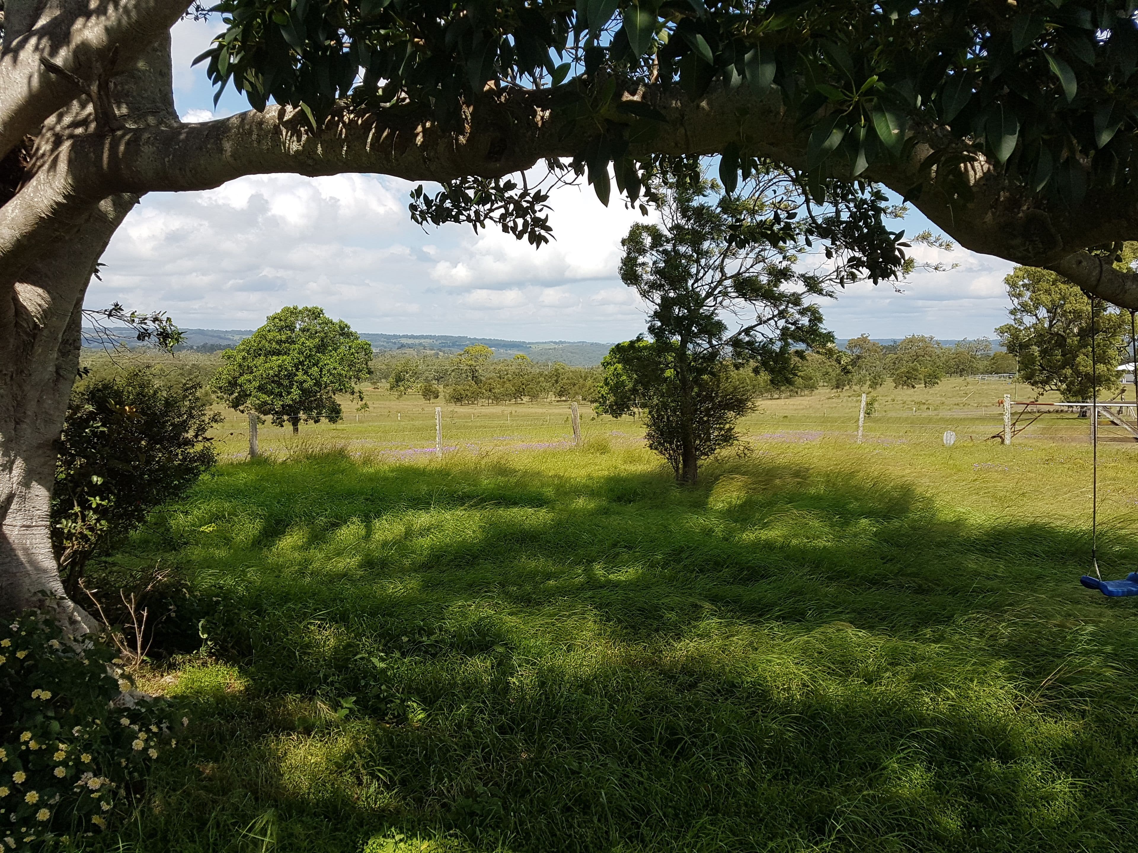 95 Welke Road, Groomsville QLD 4352, Groomsville - Image 1