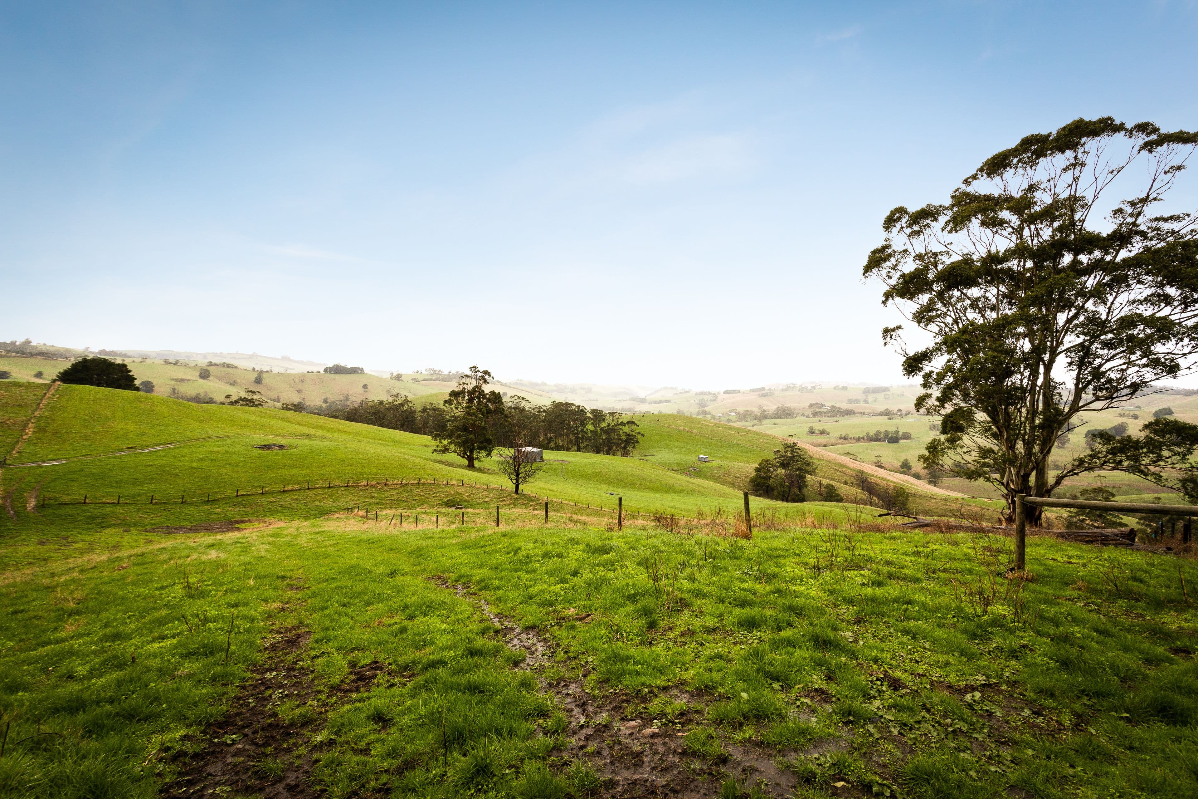 110 Rowes Road, Ranceby VIC 3951, Ranceby - Thumbnail 5