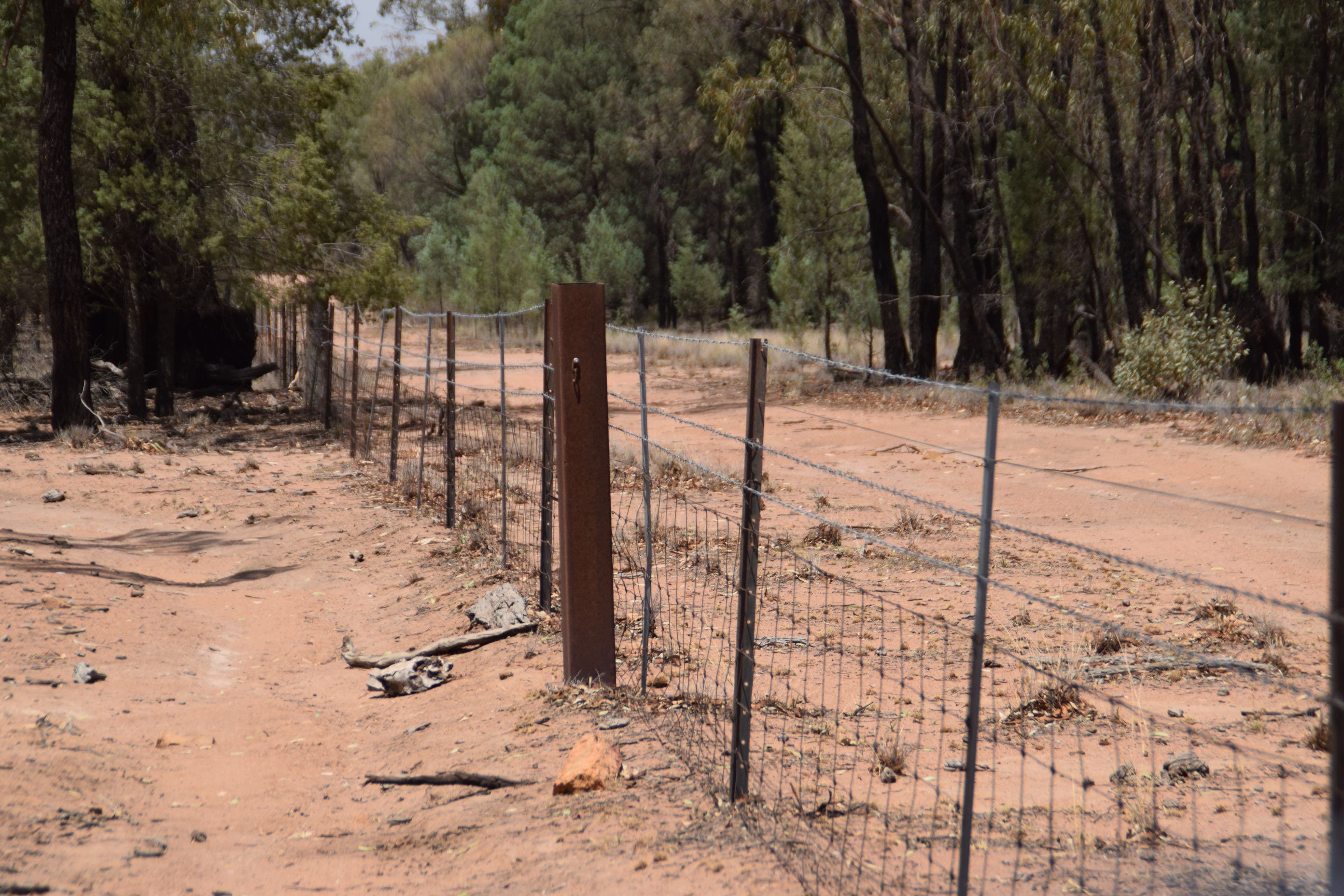 470 Dilladerry Road, Tomingley NSW 2869, Tomingley - Thumbnail 4