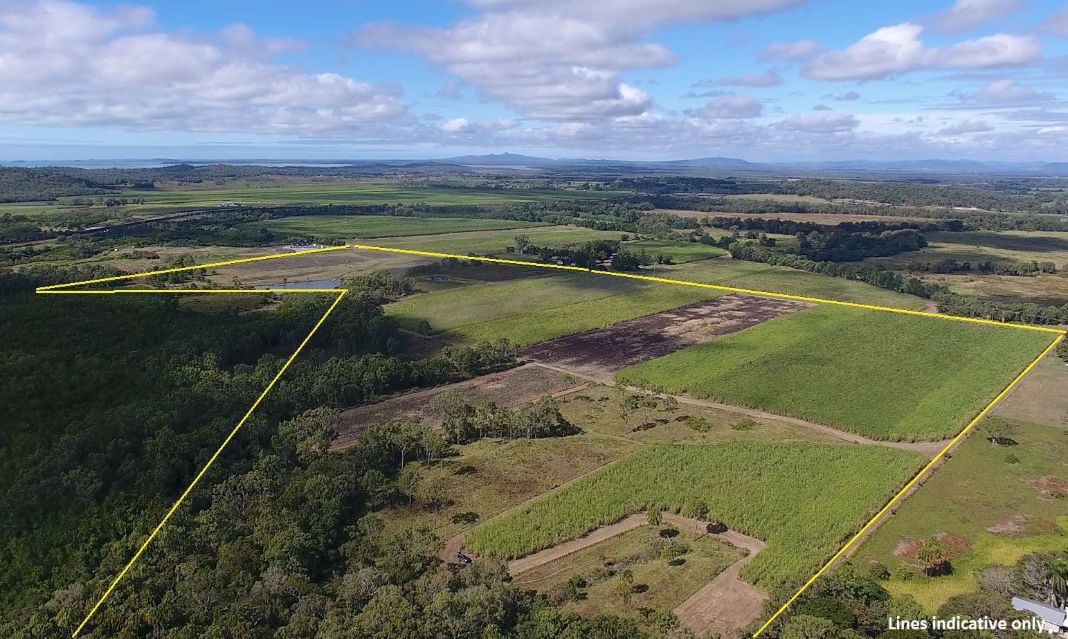 186 Brooks Road, Sarina QLD 4737, Sarina - Thumbnail 3