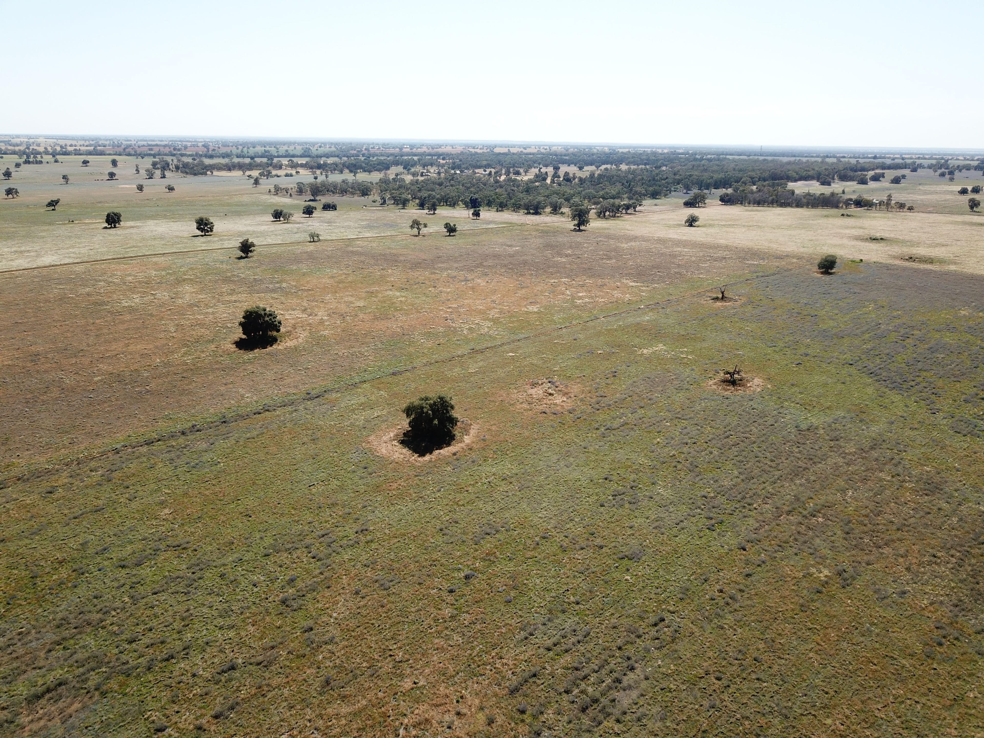 'Waratah' 176 Lincoln Lane, Narromine NSW 2821, Narromine - Thumbnail 5