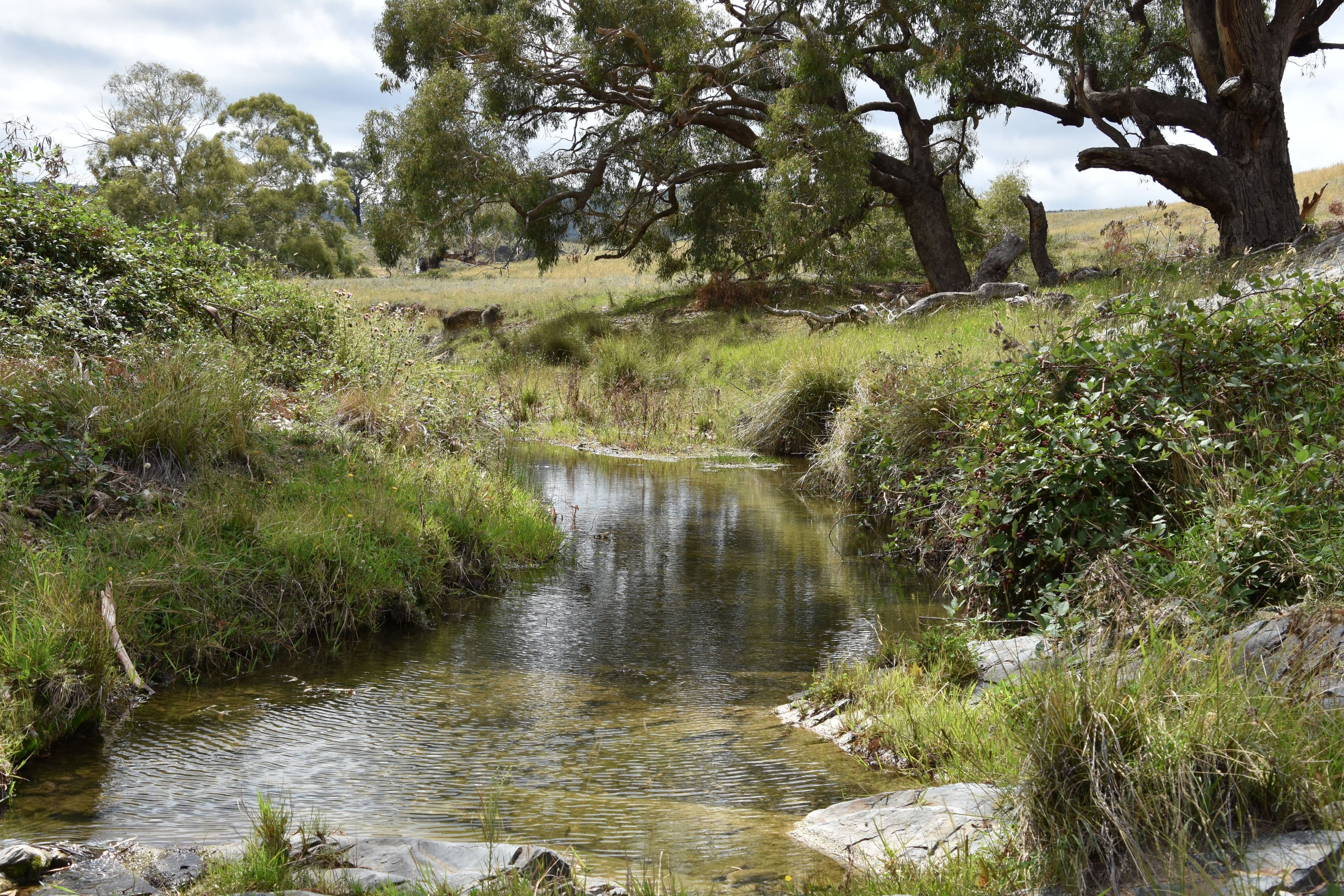 2727 Limekilns Road, Limekilns NSW 2795, Limekilns - Thumbnail 5