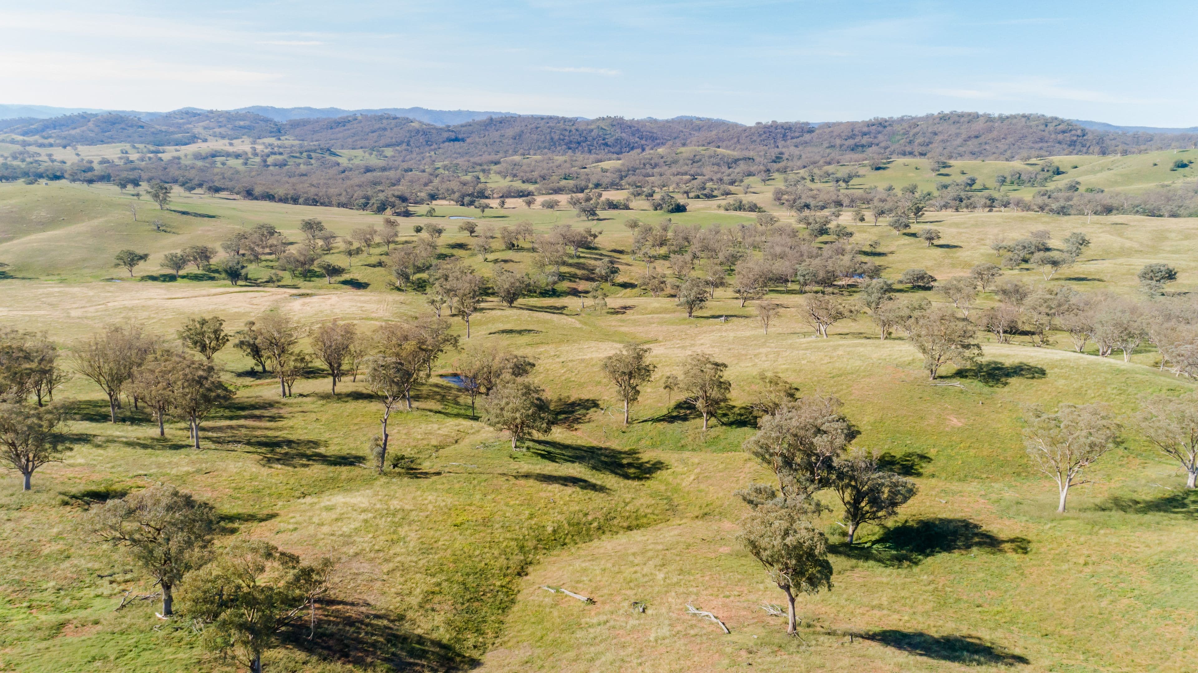 'Warrenella' Yarramanbully Road, Tamworth NSW 2340, Tamworth - Image 1