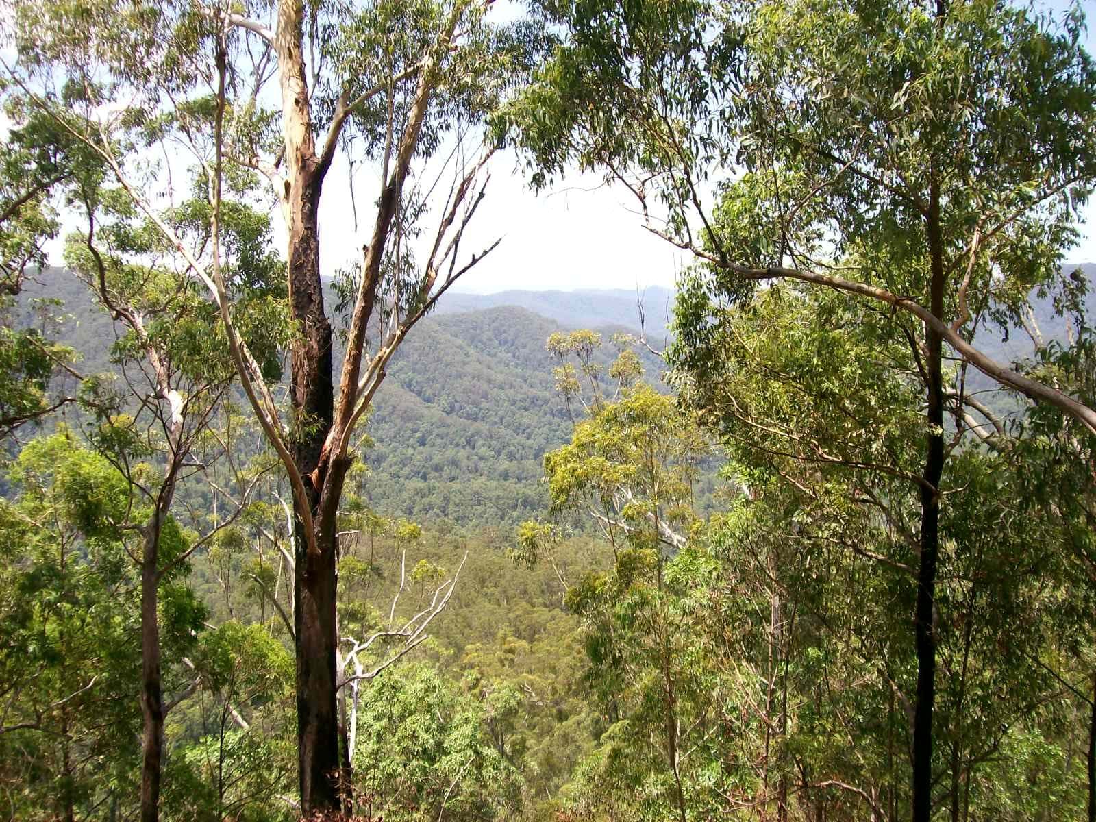 3566 Kalang Road Kalang, Bellingen NSW 2454, Bellingen - Thumbnail 2