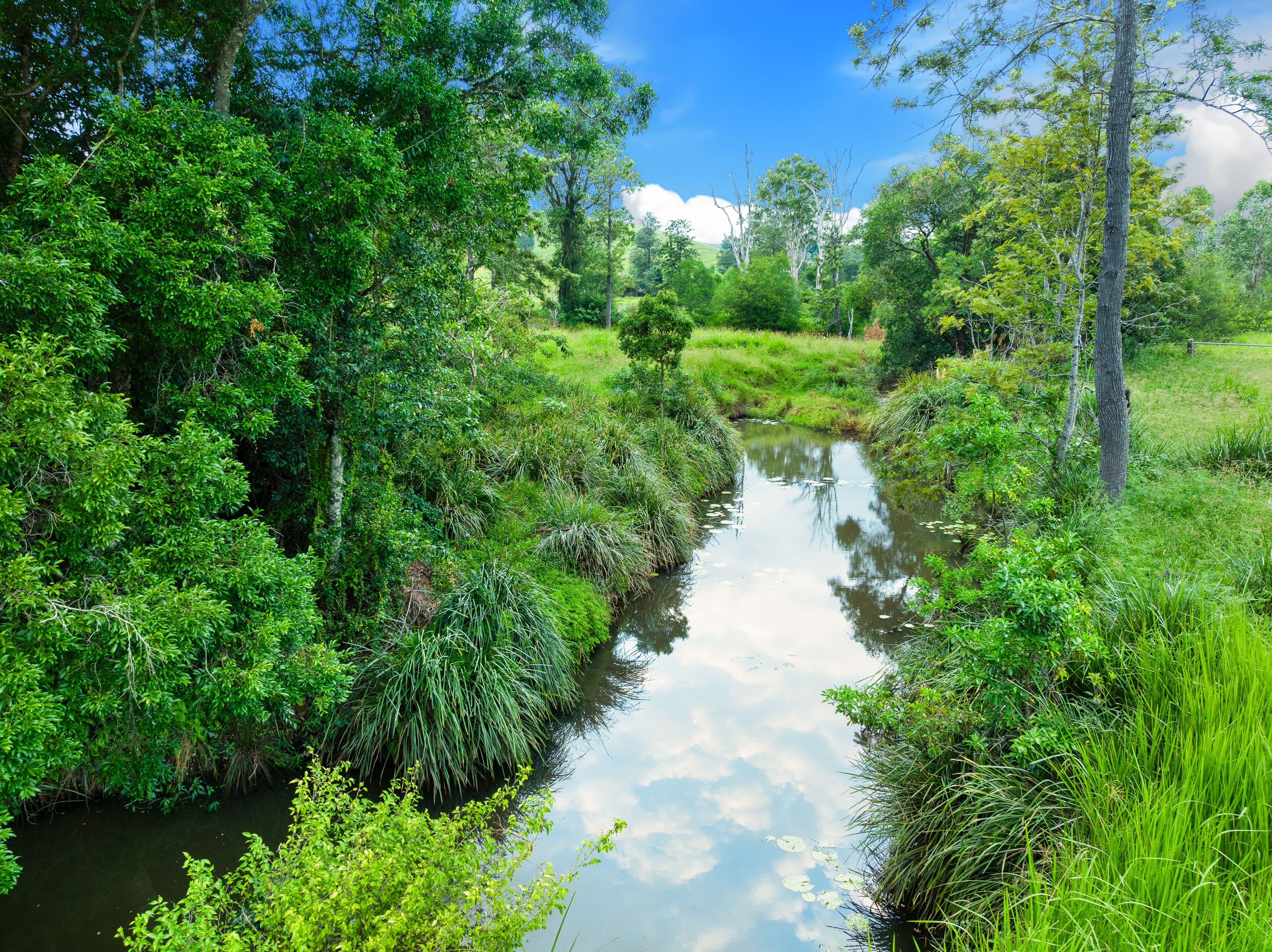 140 Deep Creek Road, Mallanganee NSW 2469, Mallanganee - Thumbnail 6