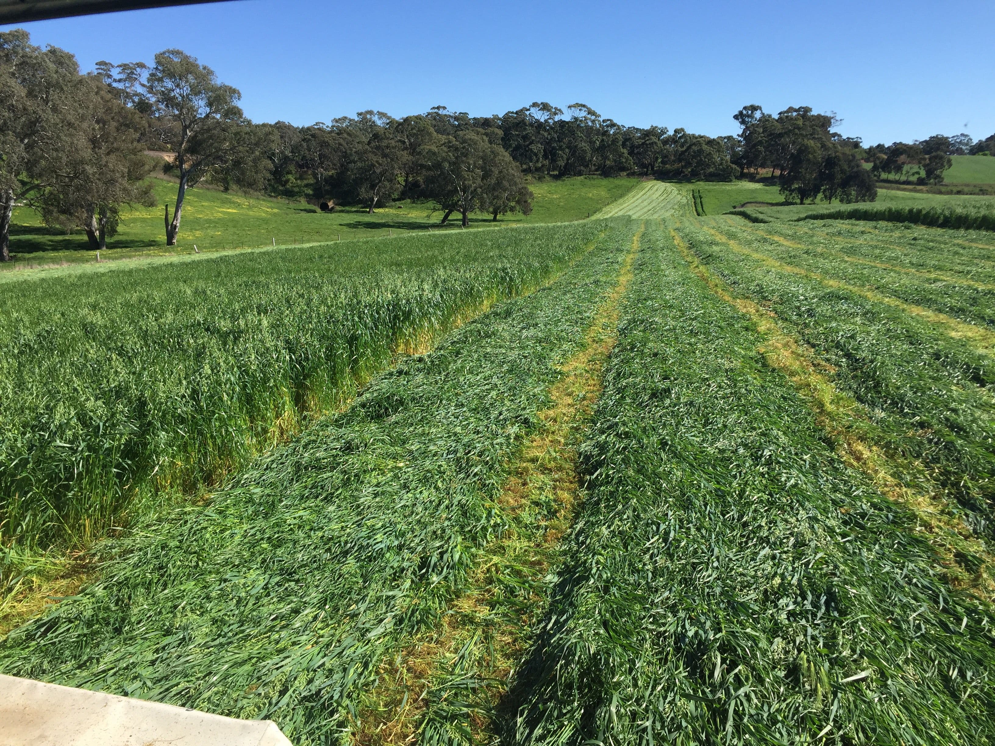 301 & 302 Old Princes Highway, Nairne SA 5252, Nairne - Thumbnail 5