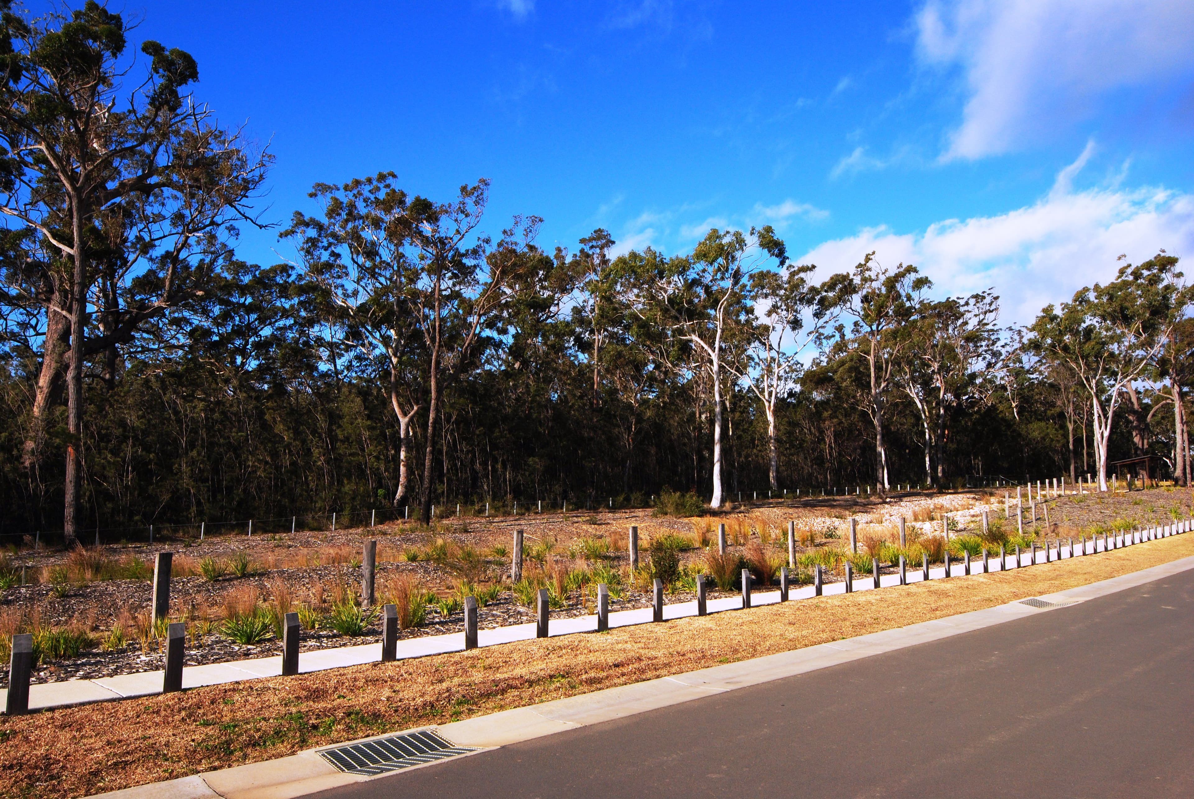61 Summercloud Crescent, Vincentia NSW 2540, Vincentia - Thumbnail 6