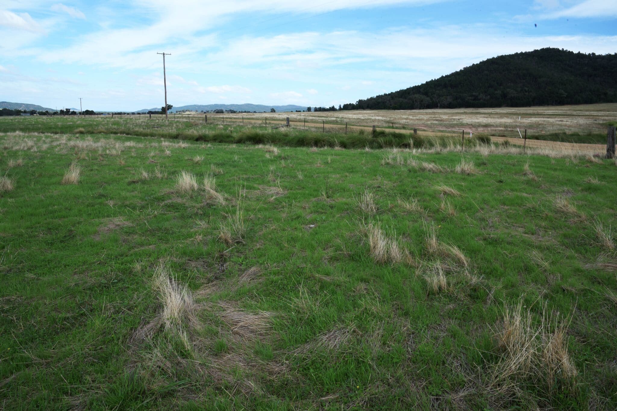 Eugowra NSW 2806, Eugowra - Thumbnail 8