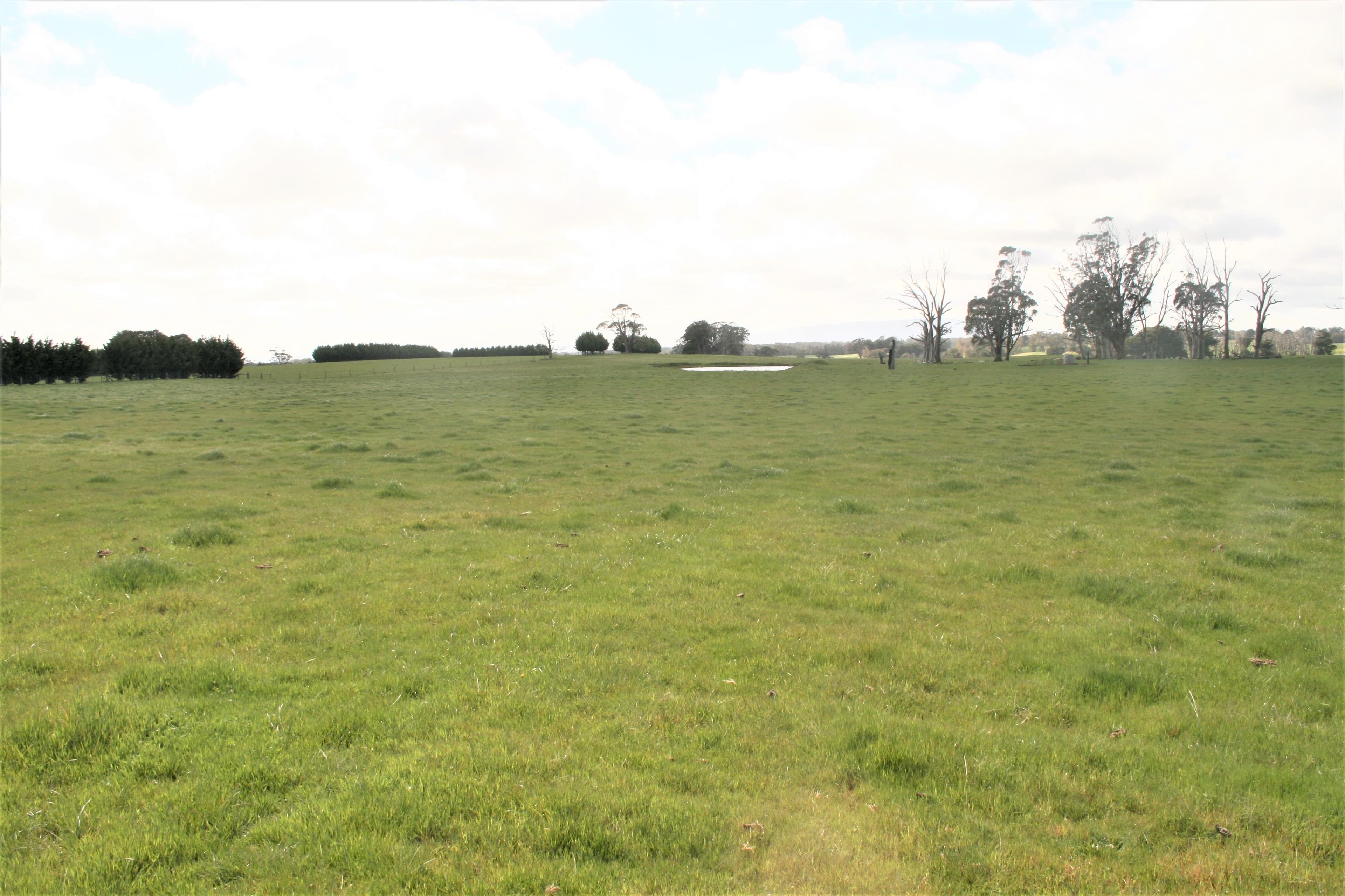 00 Trentham Road, Tylden VIC 3444, Tylden - Thumbnail 3