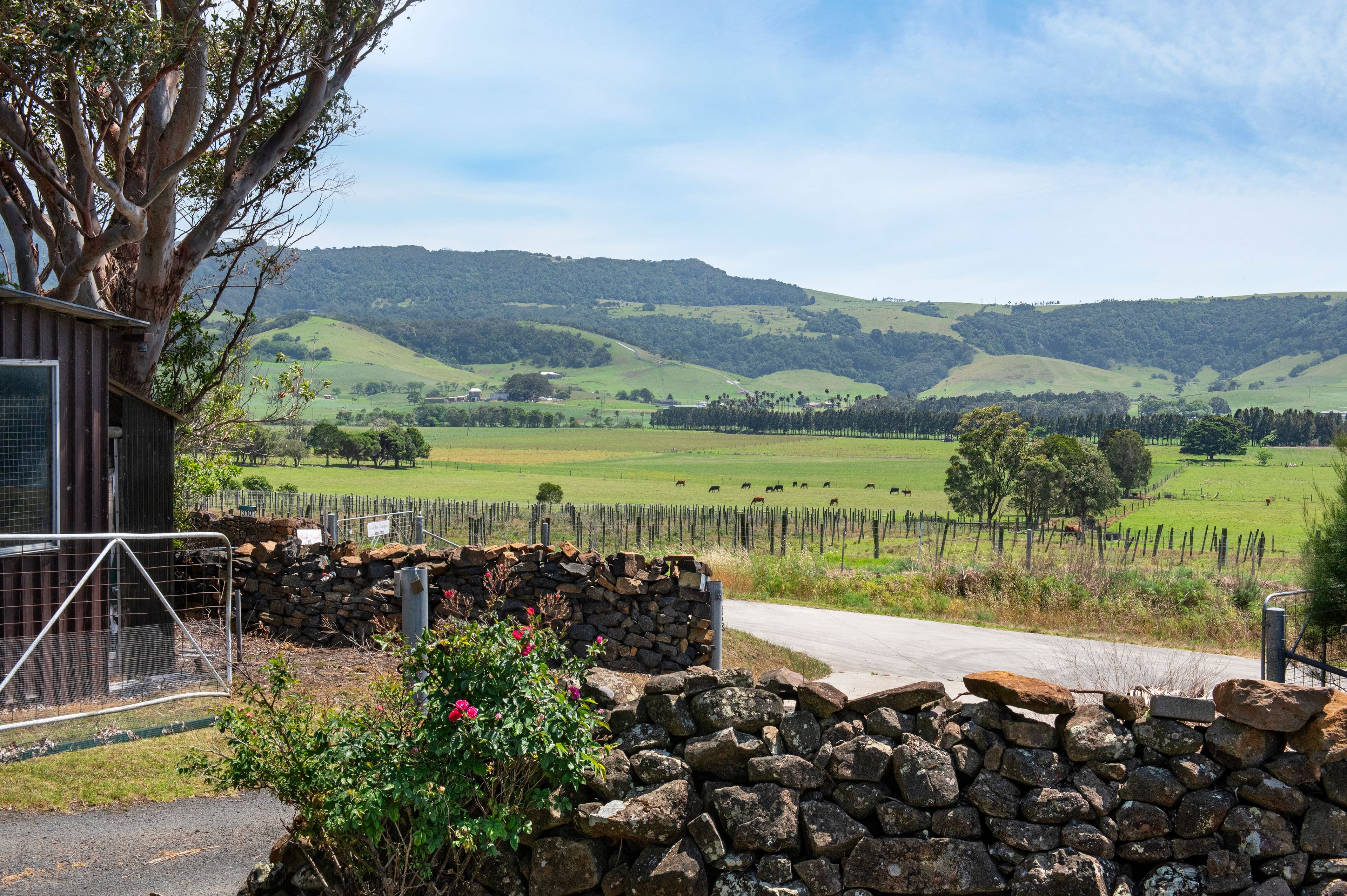 334 Princes Highway, Gerringong NSW 2534, Gerringong - Thumbnail 8
