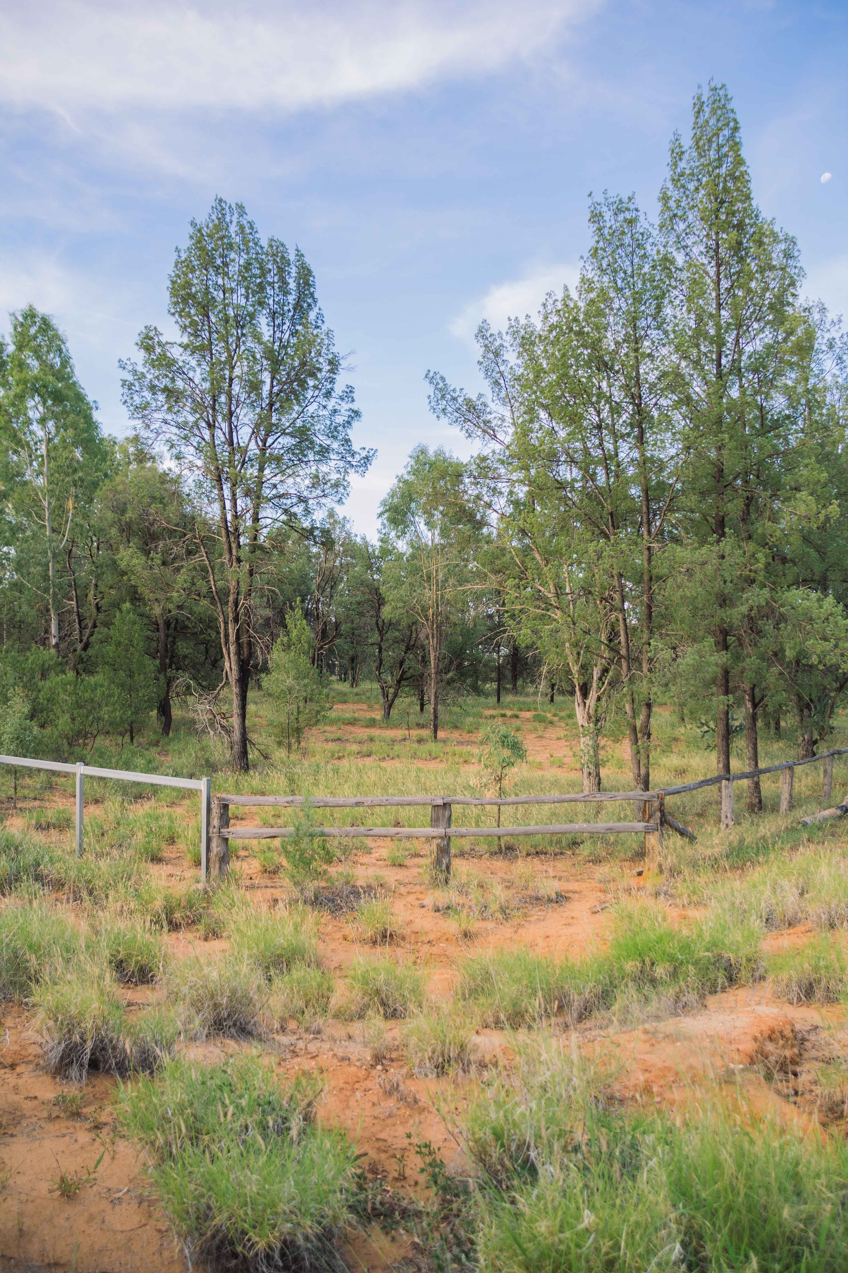 0 Banjarra Drive, Charleville QLD 4470, Charleville - Thumbnail 3