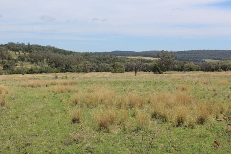 " Oban", COOLATAI NSW 2402, Coolatai - Thumbnail 3