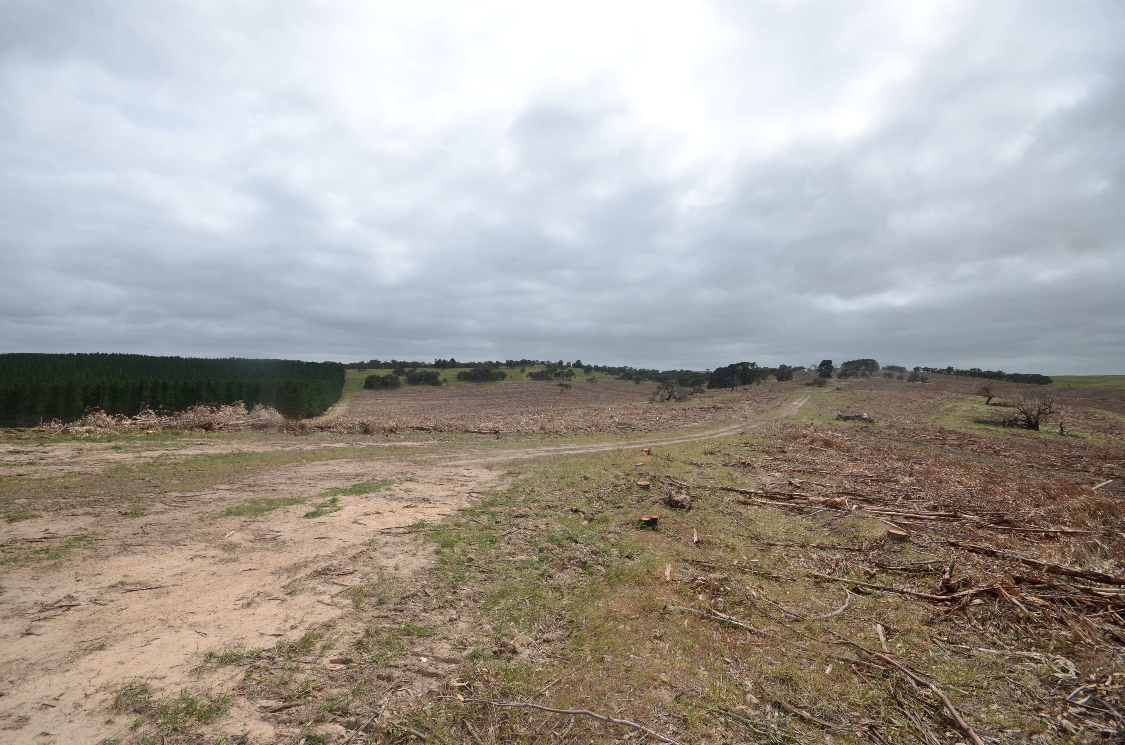 Lot 1 "Curlewis" Ellis Road, BEAUFORT VIC 3373, Beaufort - Thumbnail 8