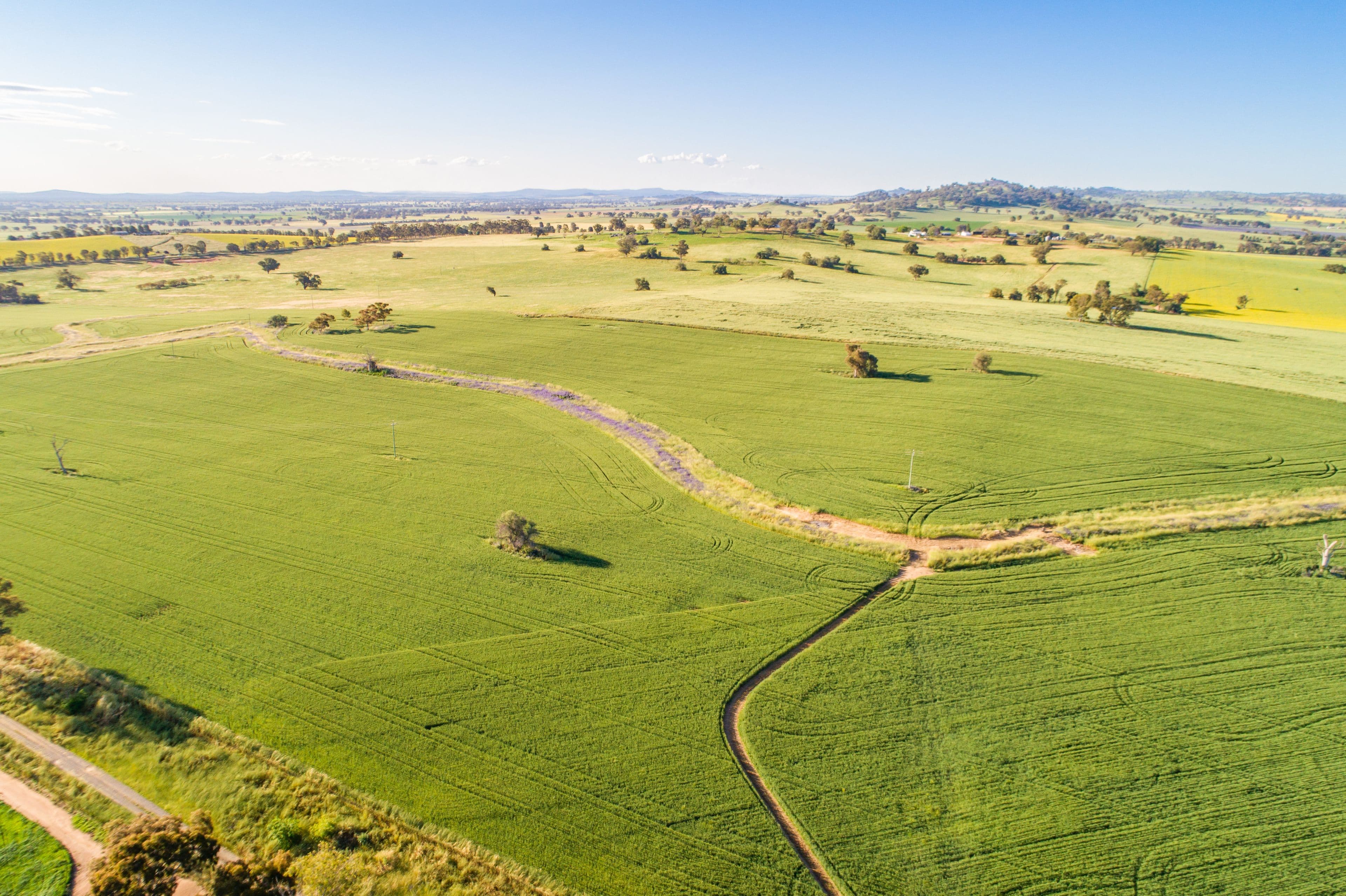 Cowra NSW 2794, Cowra - Thumbnail 6