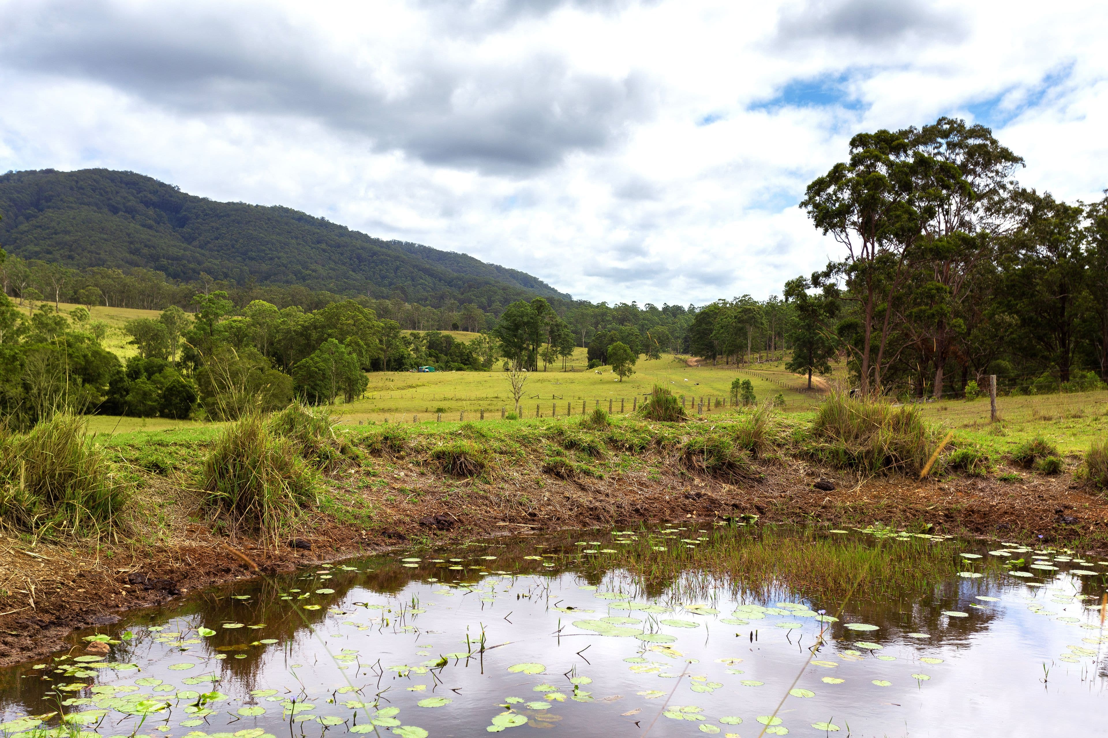 626 Black Flat Lane, Mount George NSW 2424, Mount George - Thumbnail 7