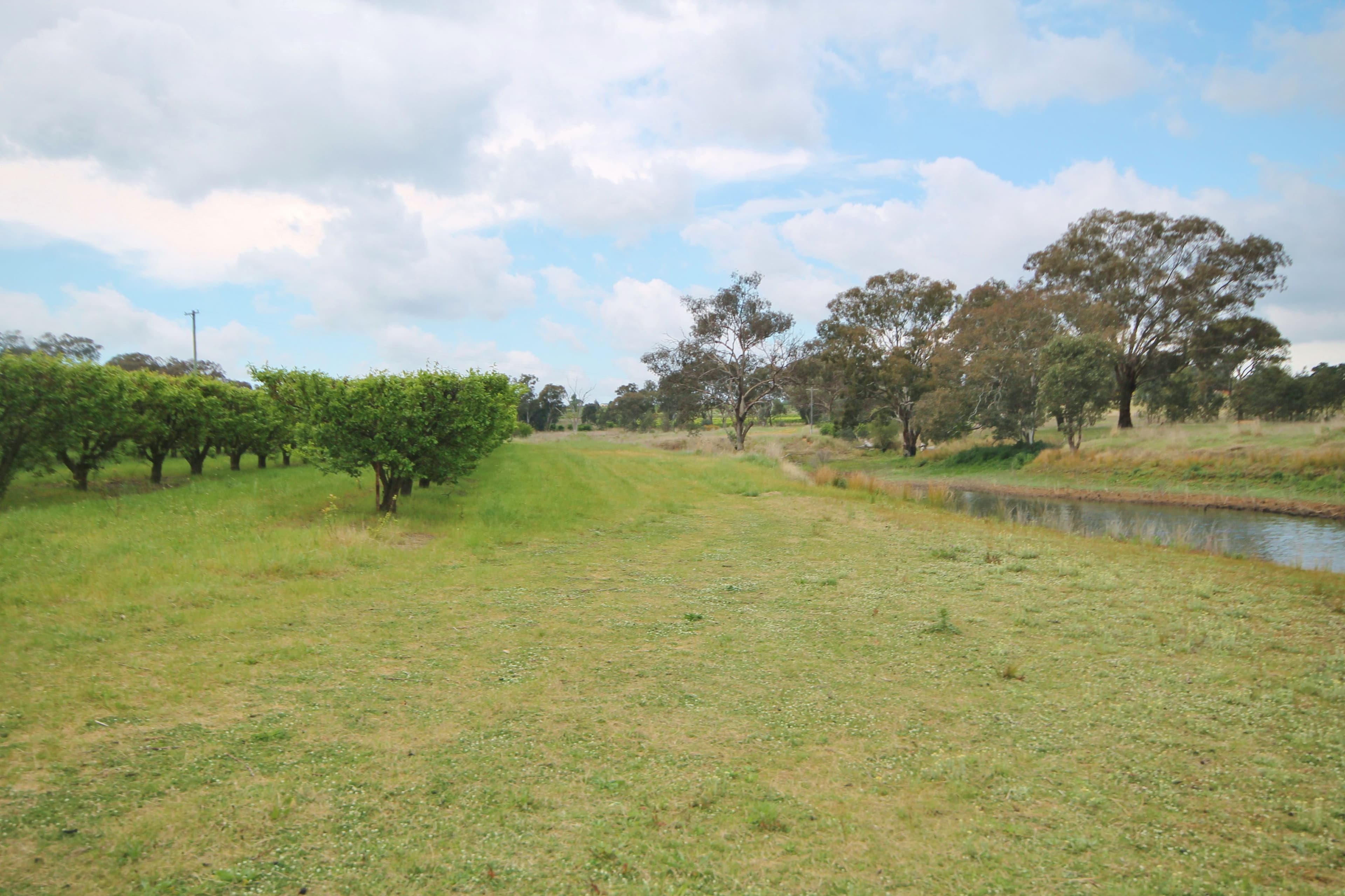 189 Jasprizza Lane, Young NSW 2594, Young - Thumbnail 5