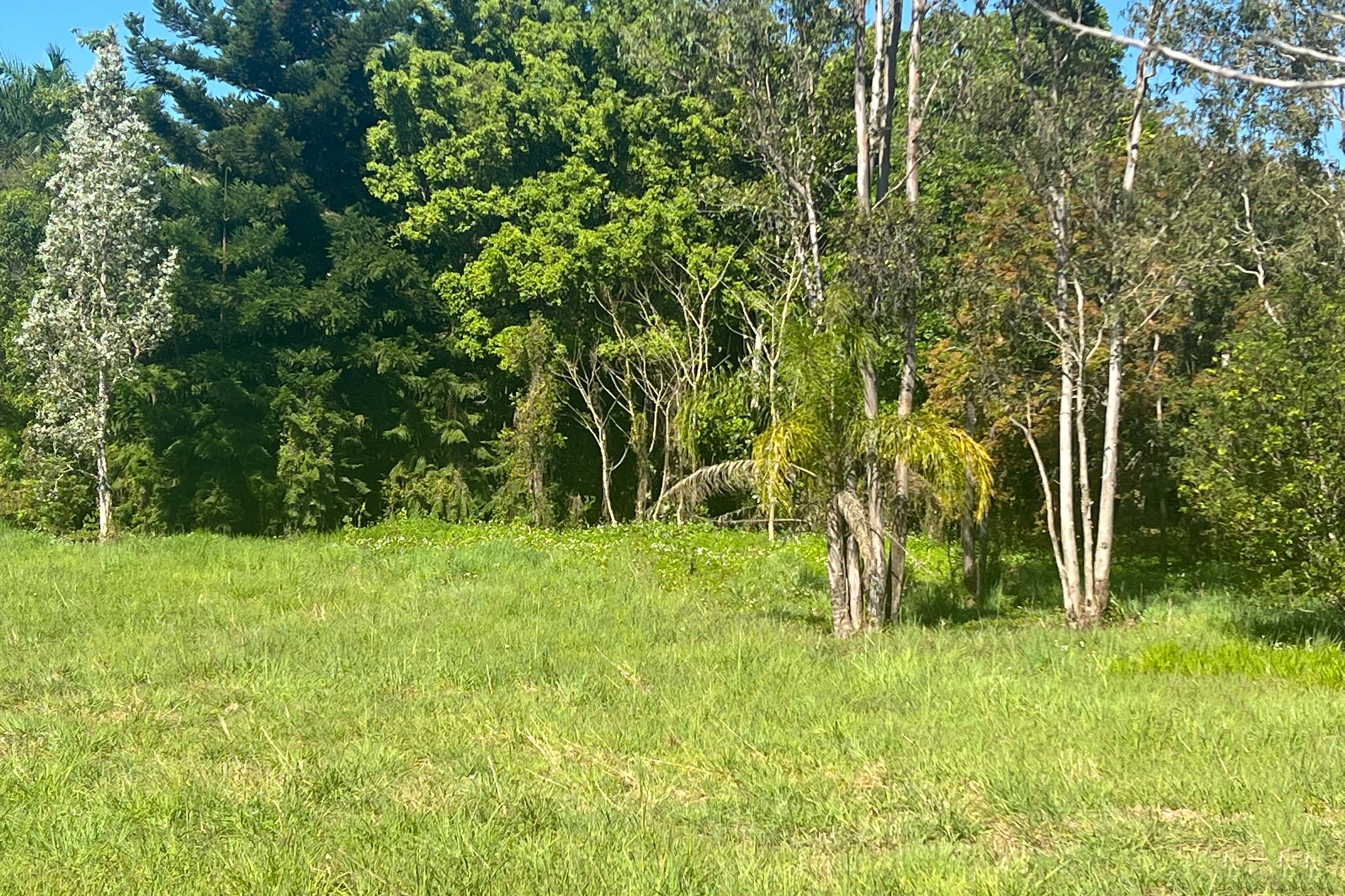 737A Gregory Cannon Valley Road, Strathdickie QLD 4800, Strathdickie - Thumbnail 4