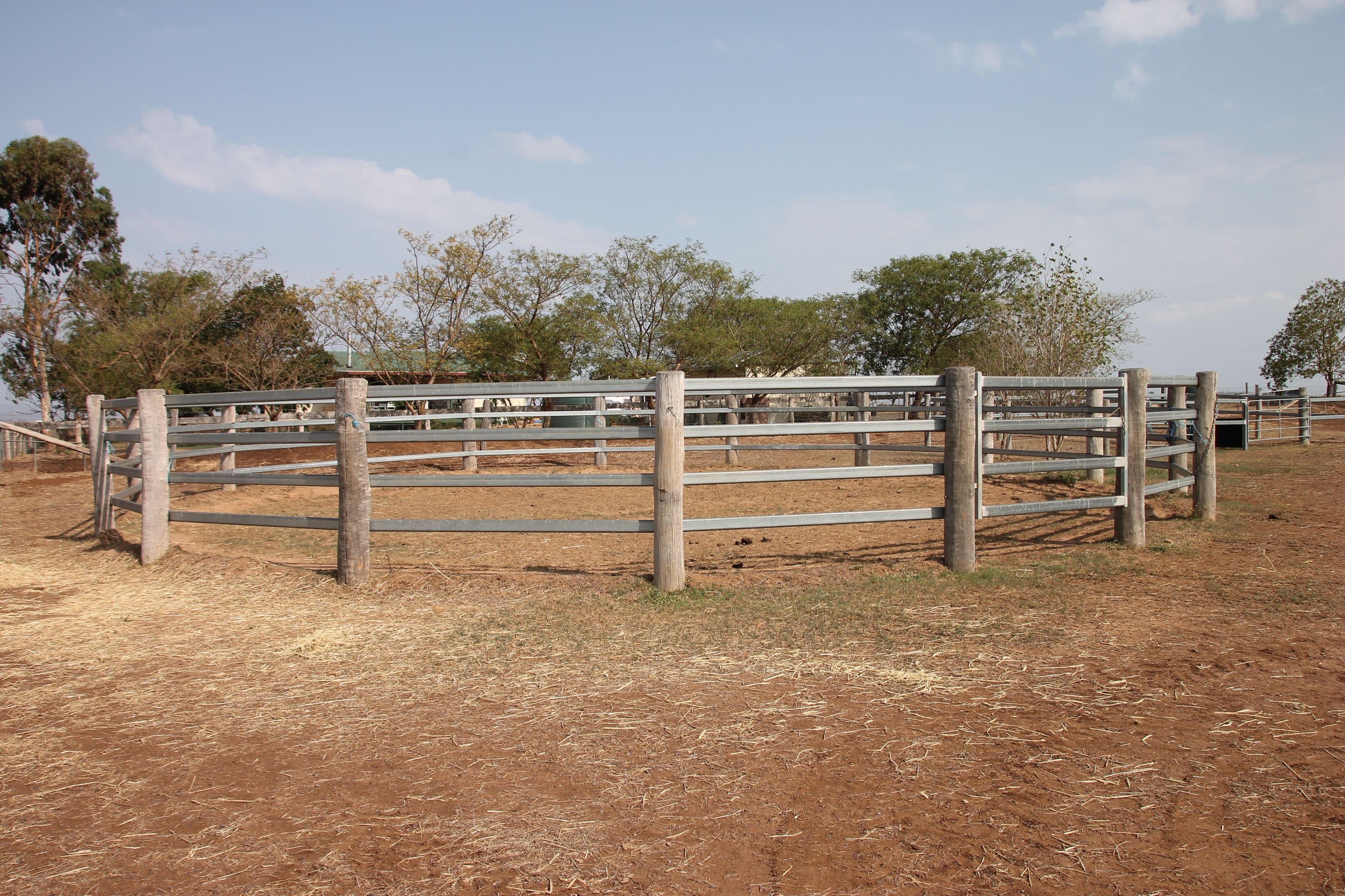 491 Doolan Road, Nobby QLD 4360, Nobby - Thumbnail 3