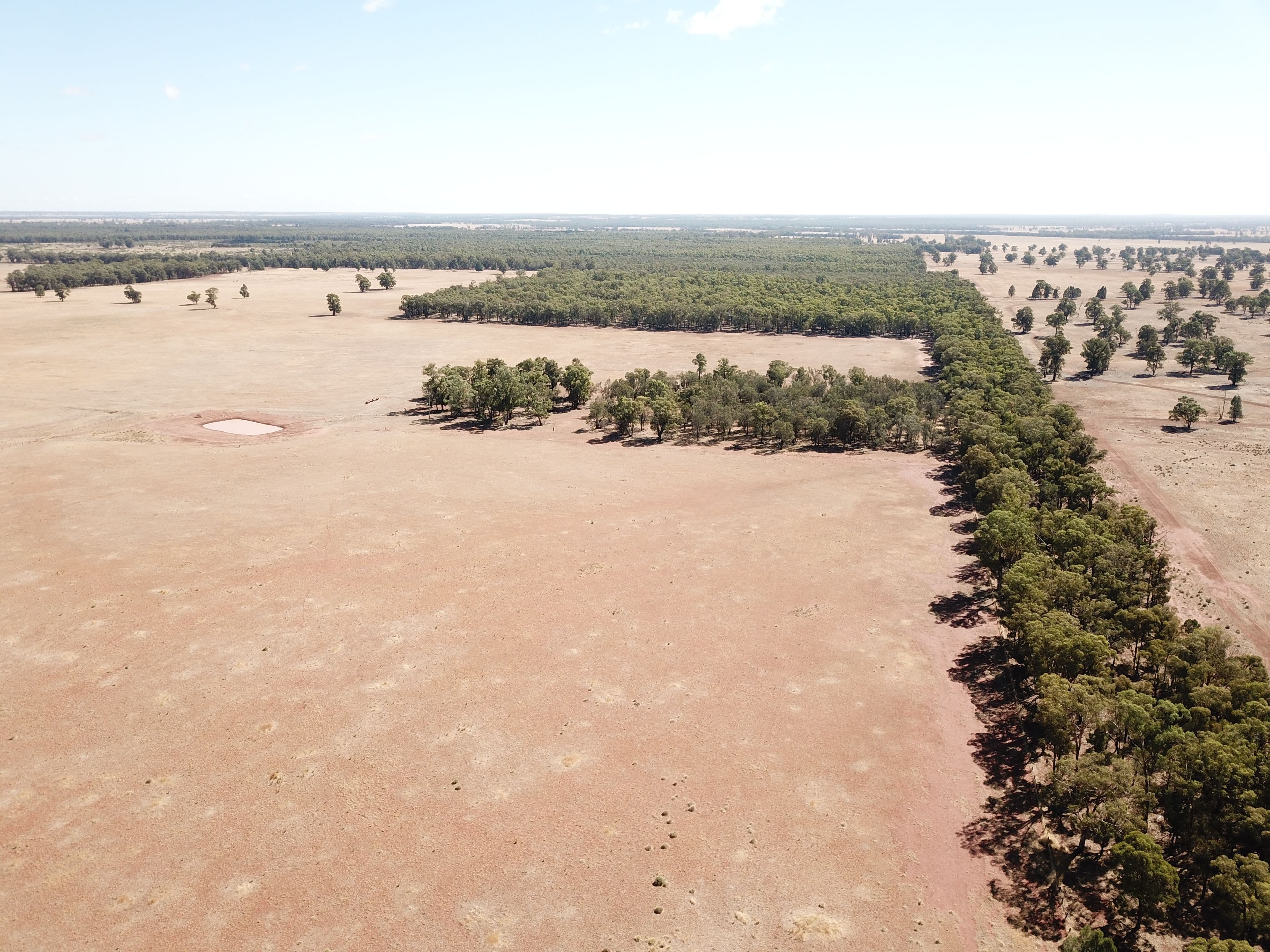 'Hillside', 153R Mogriguy Road, Mogriguy NSW 2830, Mogriguy - Thumbnail 2
