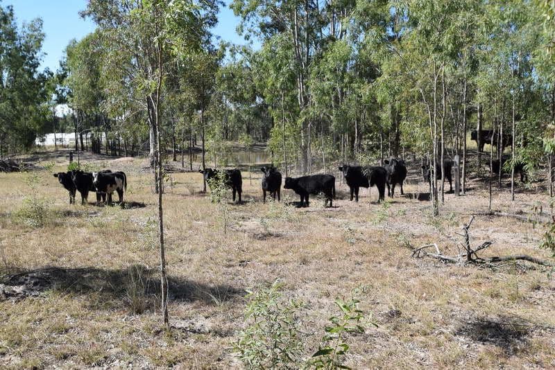 3 Jamieson Road, Churchable QLD 4311, Churchable - Thumbnail 7