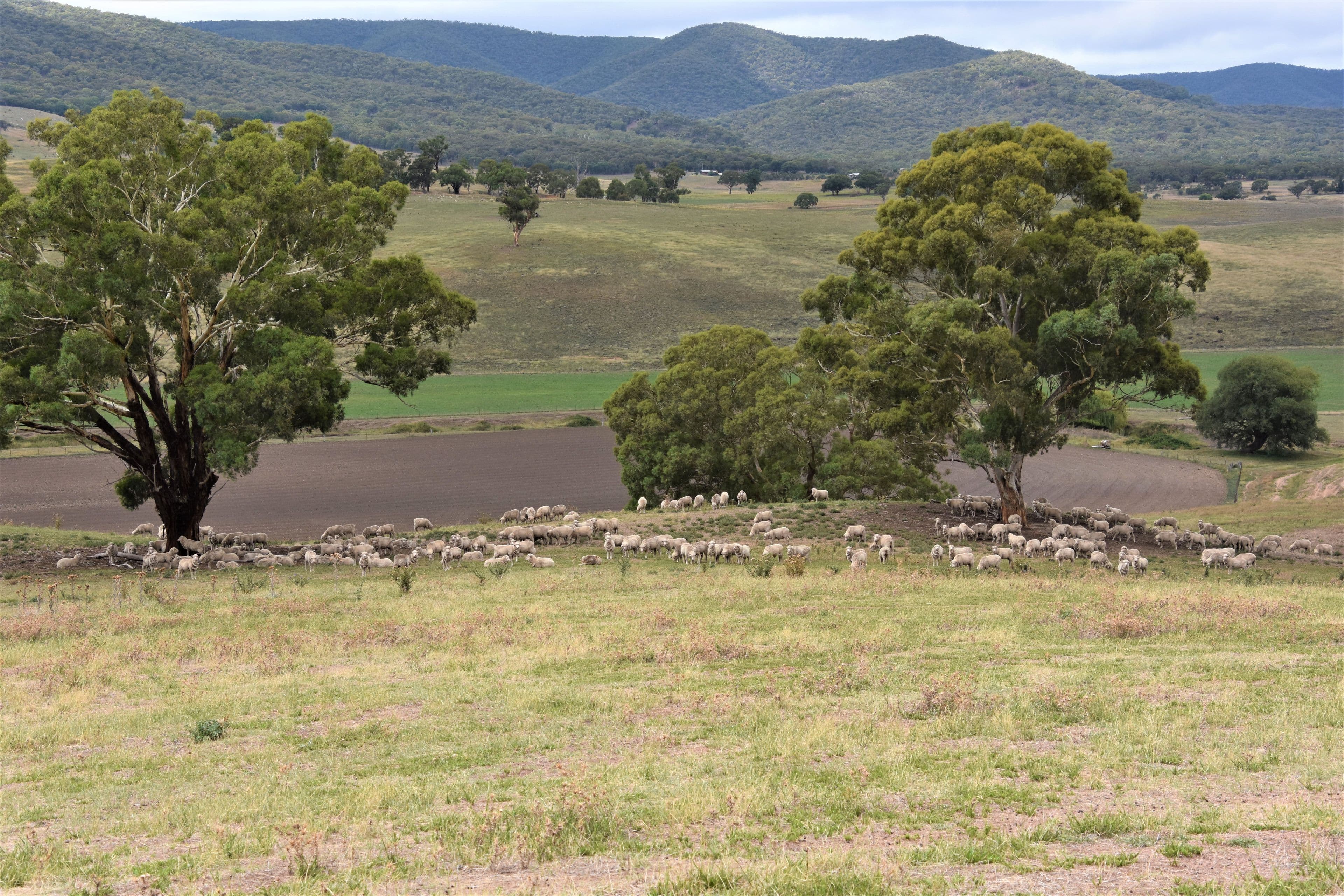 2727 Limekilns Road, Limekilns NSW 2795, Limekilns - Thumbnail 2