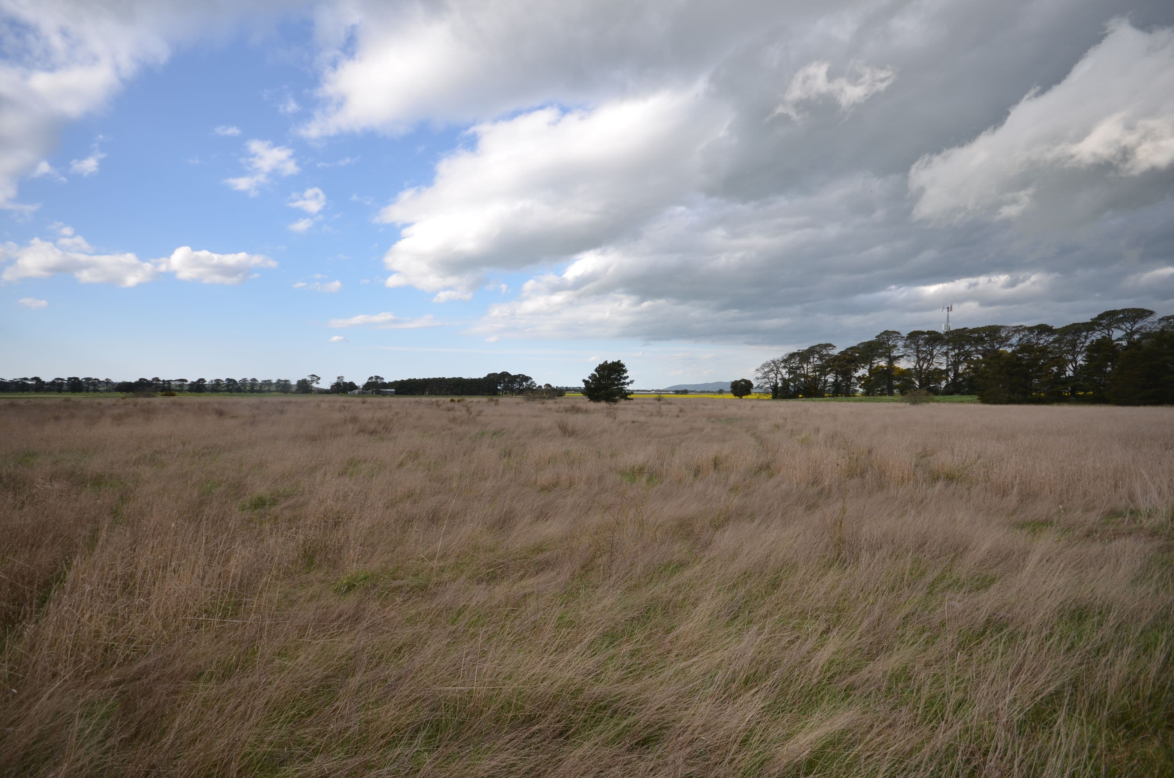 CA 24 Trawalla - Waterloo Road, TRAWALLA  Victoria  3373, Australia, Trawalla - Thumbnail 6