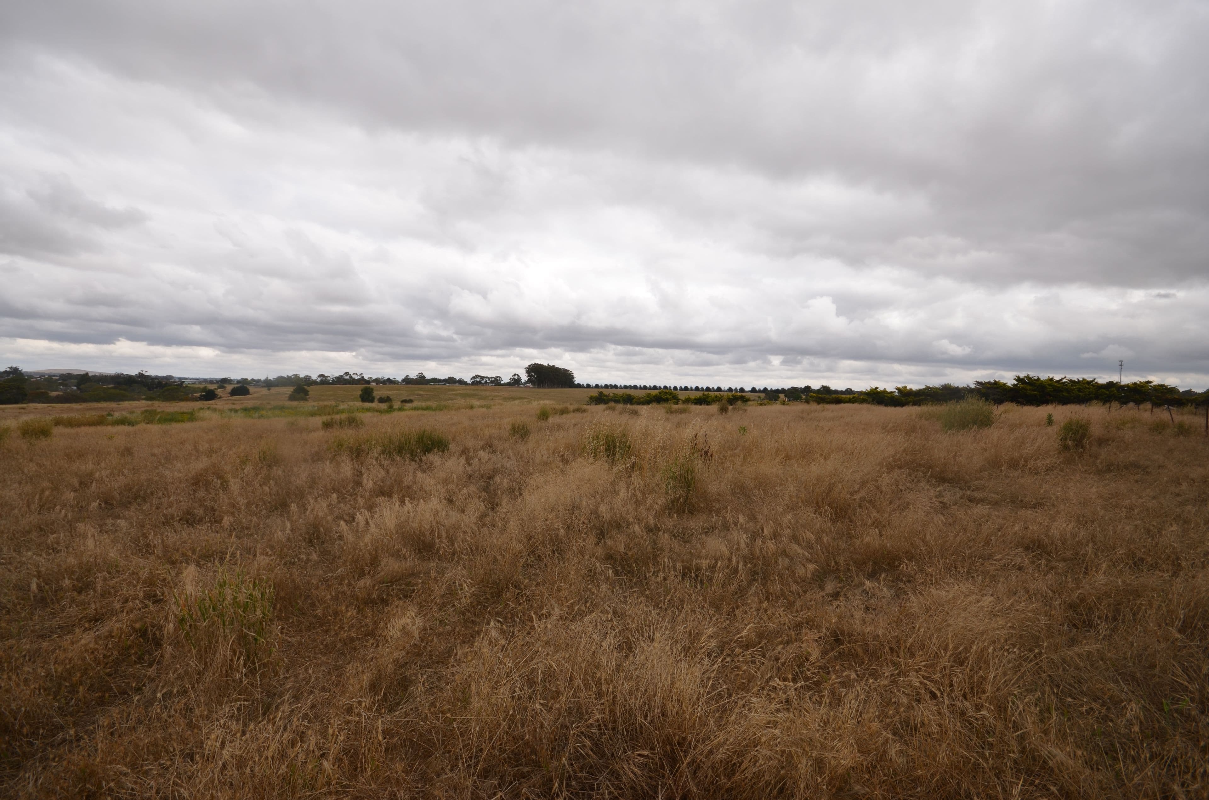 13 Pett Street, Skipton VIC 3361, Skipton - Thumbnail 7