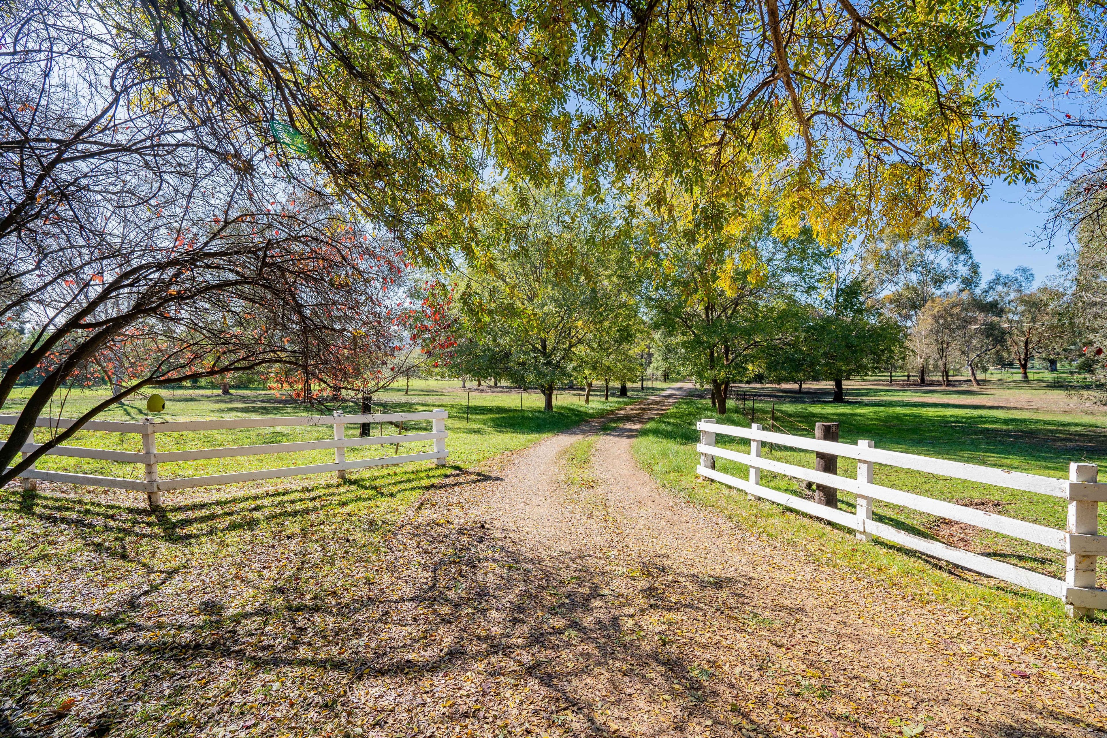 10 Norman Duck Avenue, San Isidore NSW 2650, San Isidore - Image 1