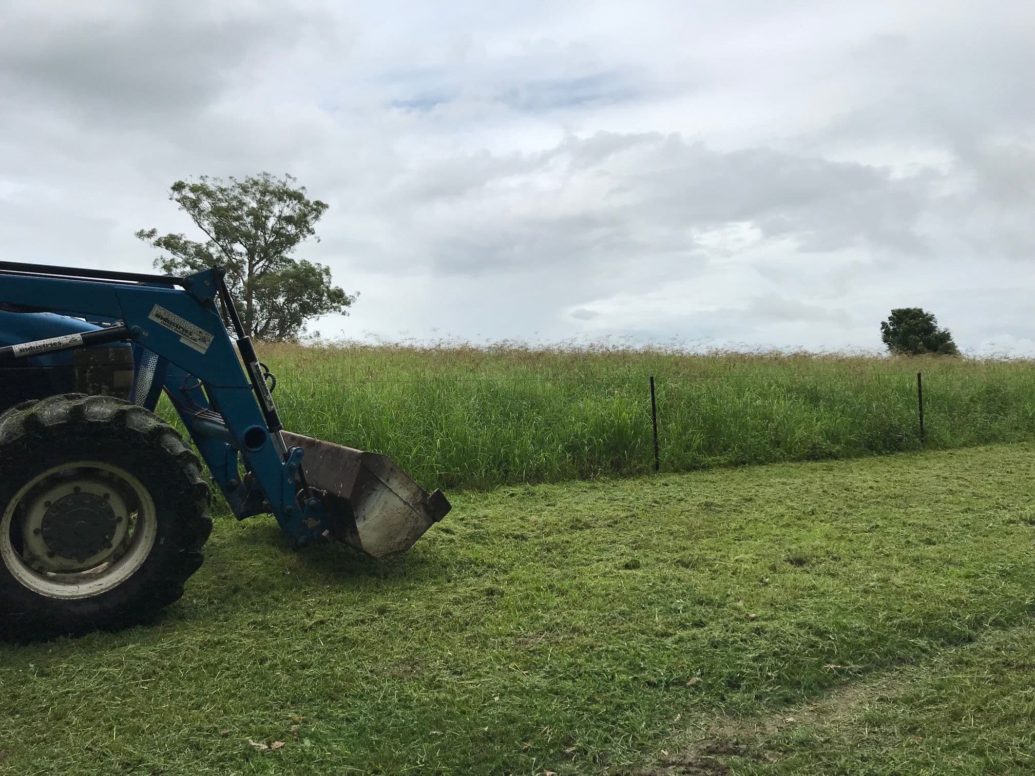 1197 Kenilworth Skyring Creek Road, Tuchekoi QLD 4570, Tuchekoi - Thumbnail 5