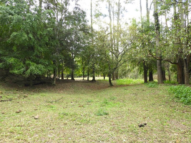 OLD BONALBO NSW 2469, Old Bonalbo - Thumbnail 6