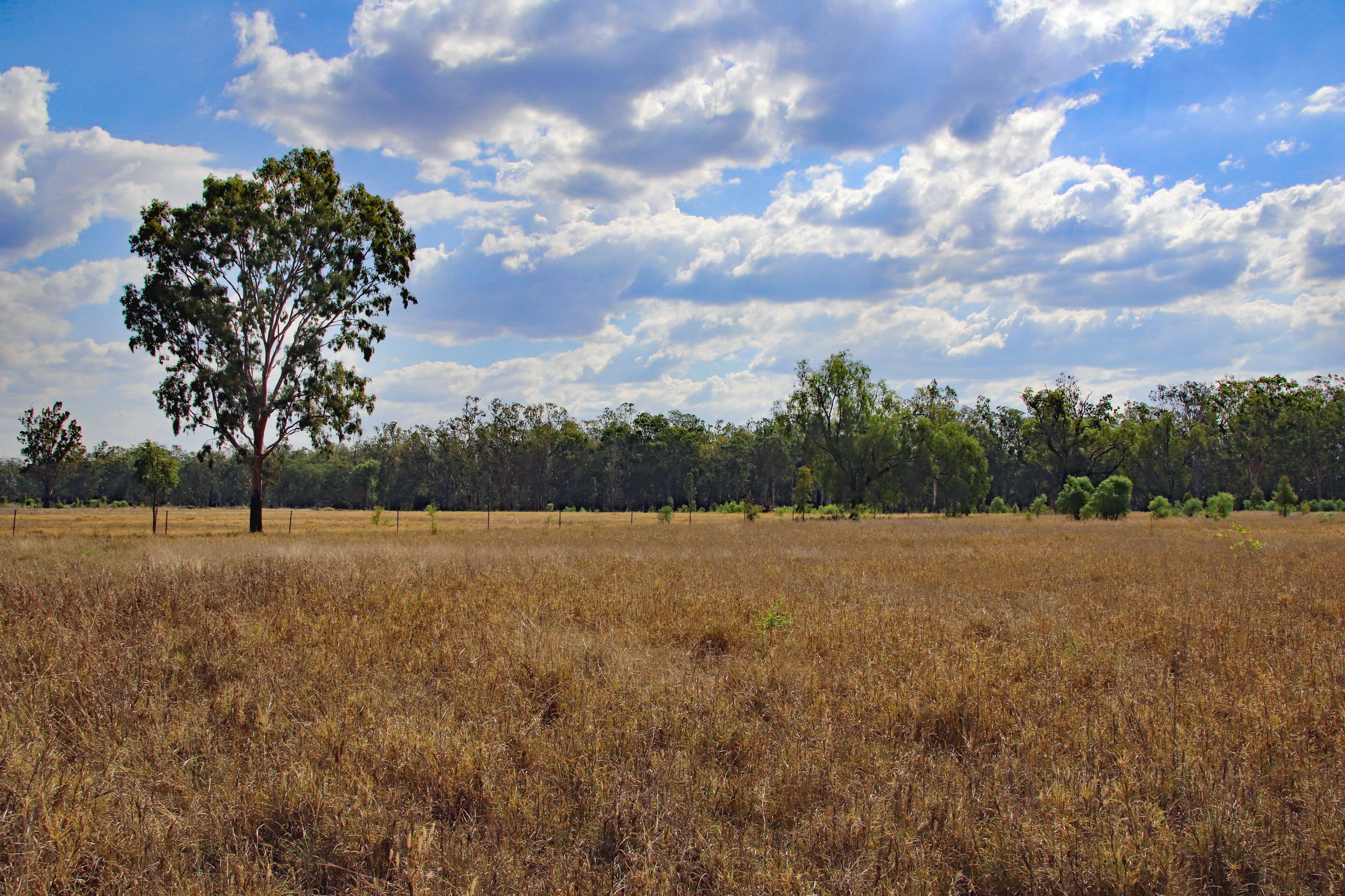 47413 Burnett Highway, Dululu QLD 4702, Dululu - Thumbnail 4