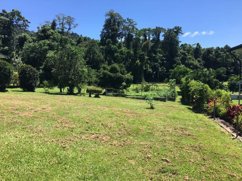 16 Moretto Street, Babinda QLD 4861, Babinda - Thumbnail 2