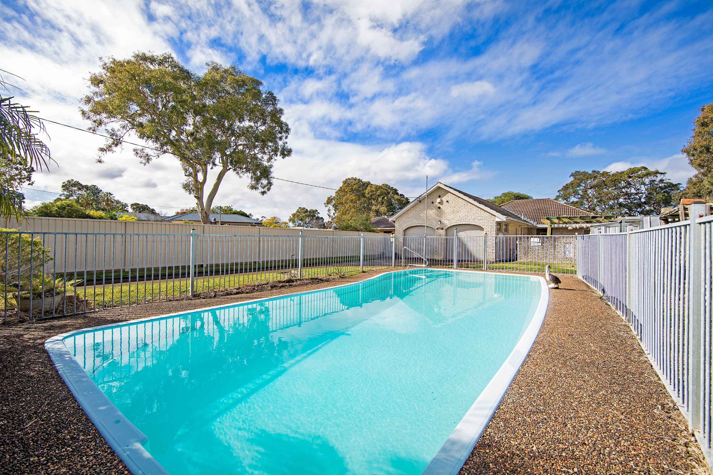 92 Buff Point Avenue, Buff Point - Thumbnail 6