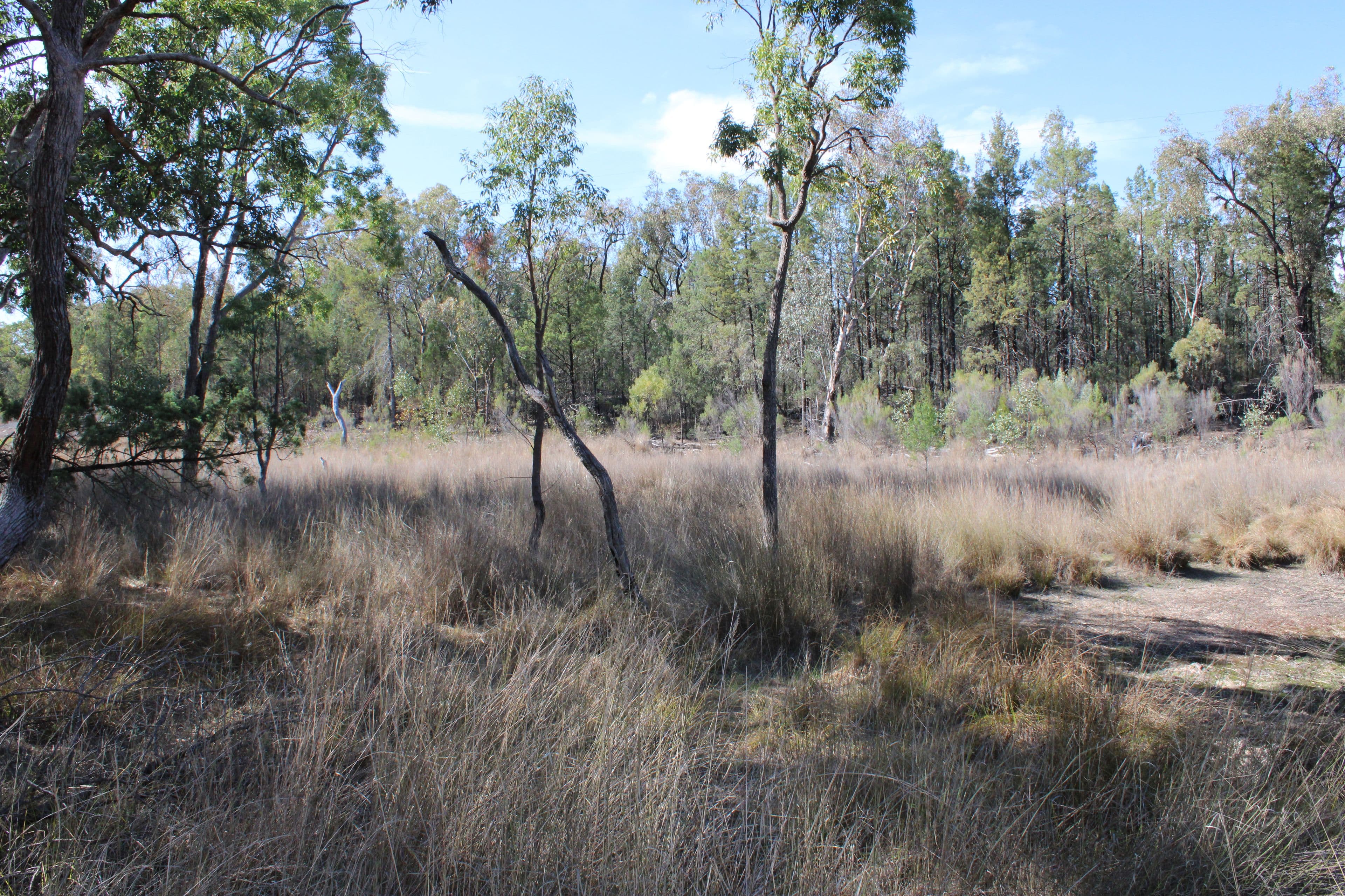 Inverell NSW 2360, Inverell - Thumbnail 8