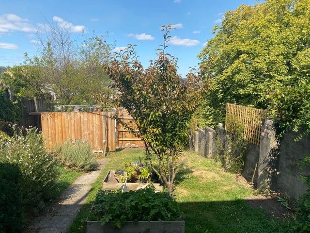 243 St John Street, Launceston TAS 7250, Launceston - Thumbnail 7