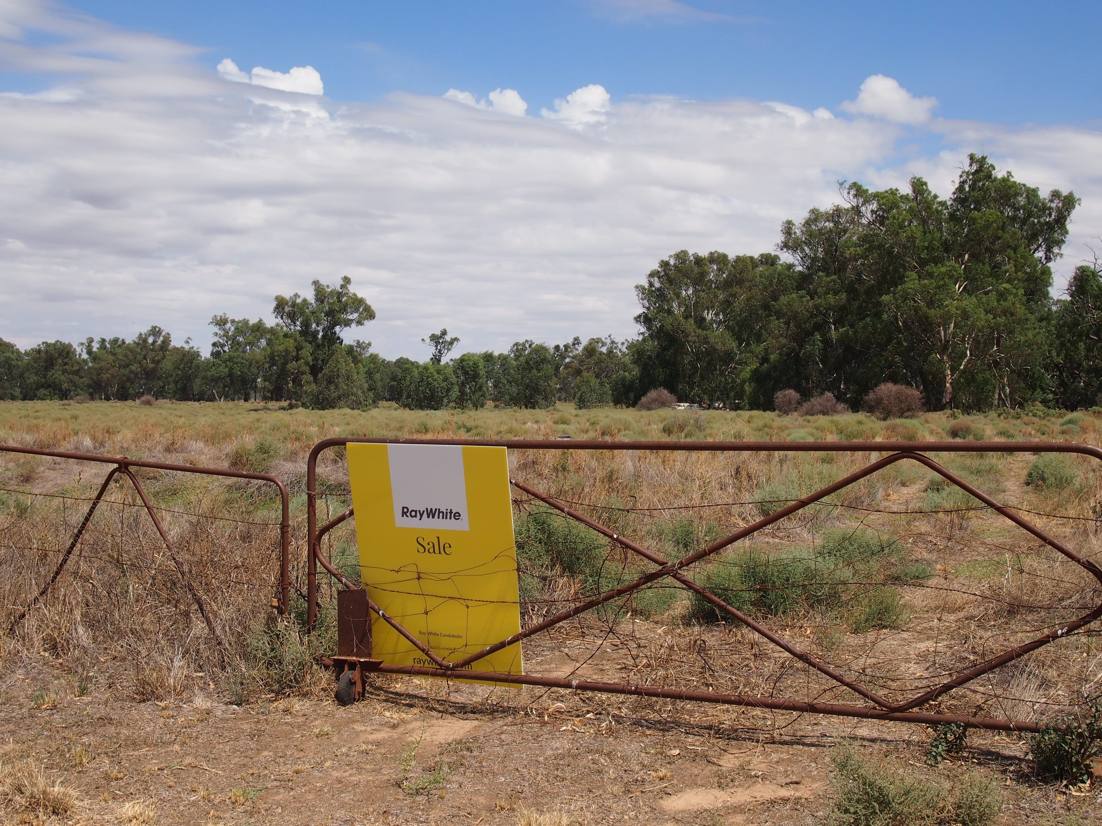 374 North Forbes Road, Condobolin NSW 2877, Condobolin - Image 1